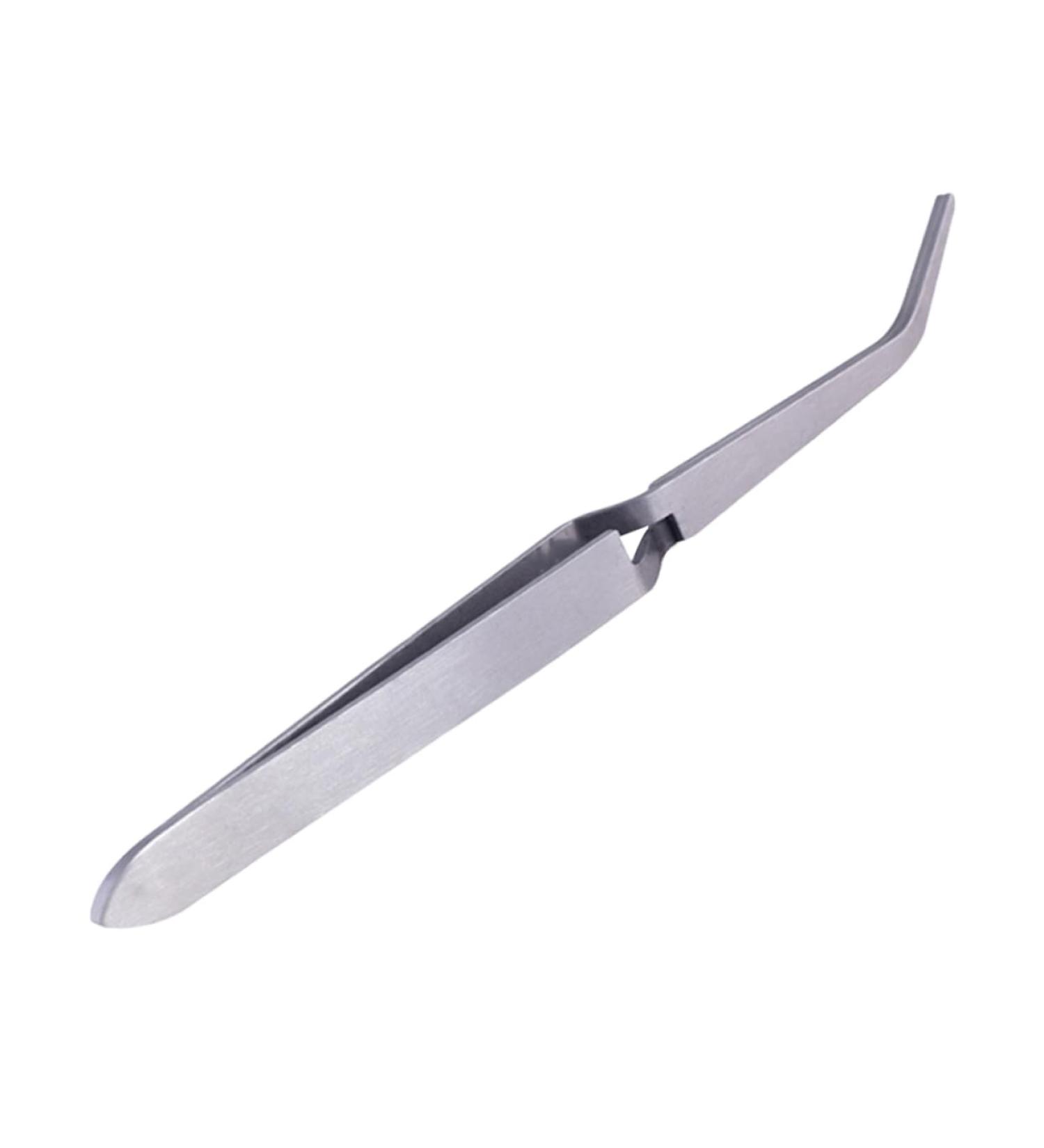 1pc Dog Clippers for Nails Nail Art Tweezers Stainless Steel Tweezers Pedicure Tool Manicure Tools Nail Art Nipper Nail Tweezers Nail Art Tools Drill Stickers Stereotypes - Buy Online on GoSupps.com