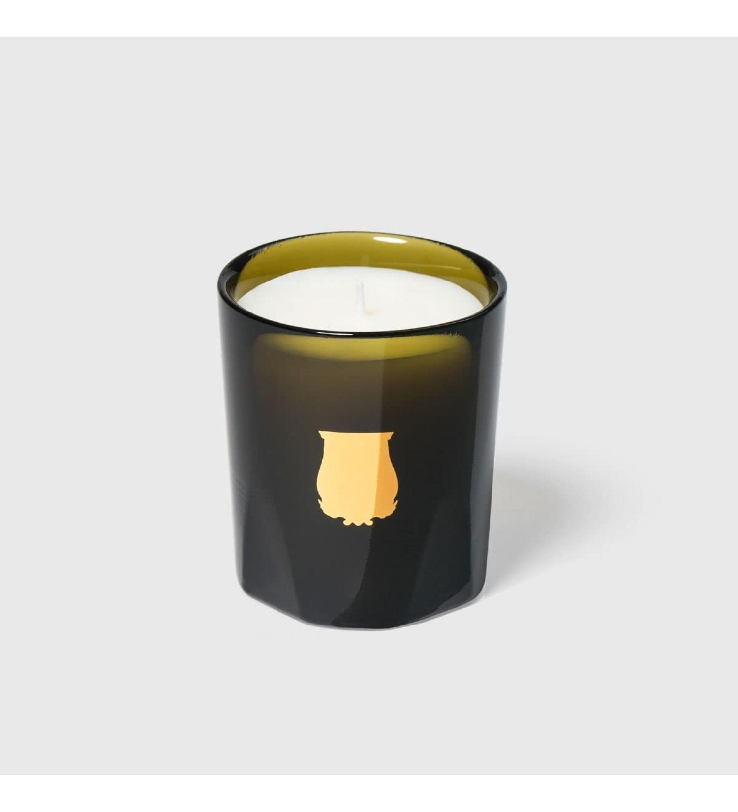 Trudon Gabriel Petite Candle 2.47 oz - Gourmand Chimney Fire