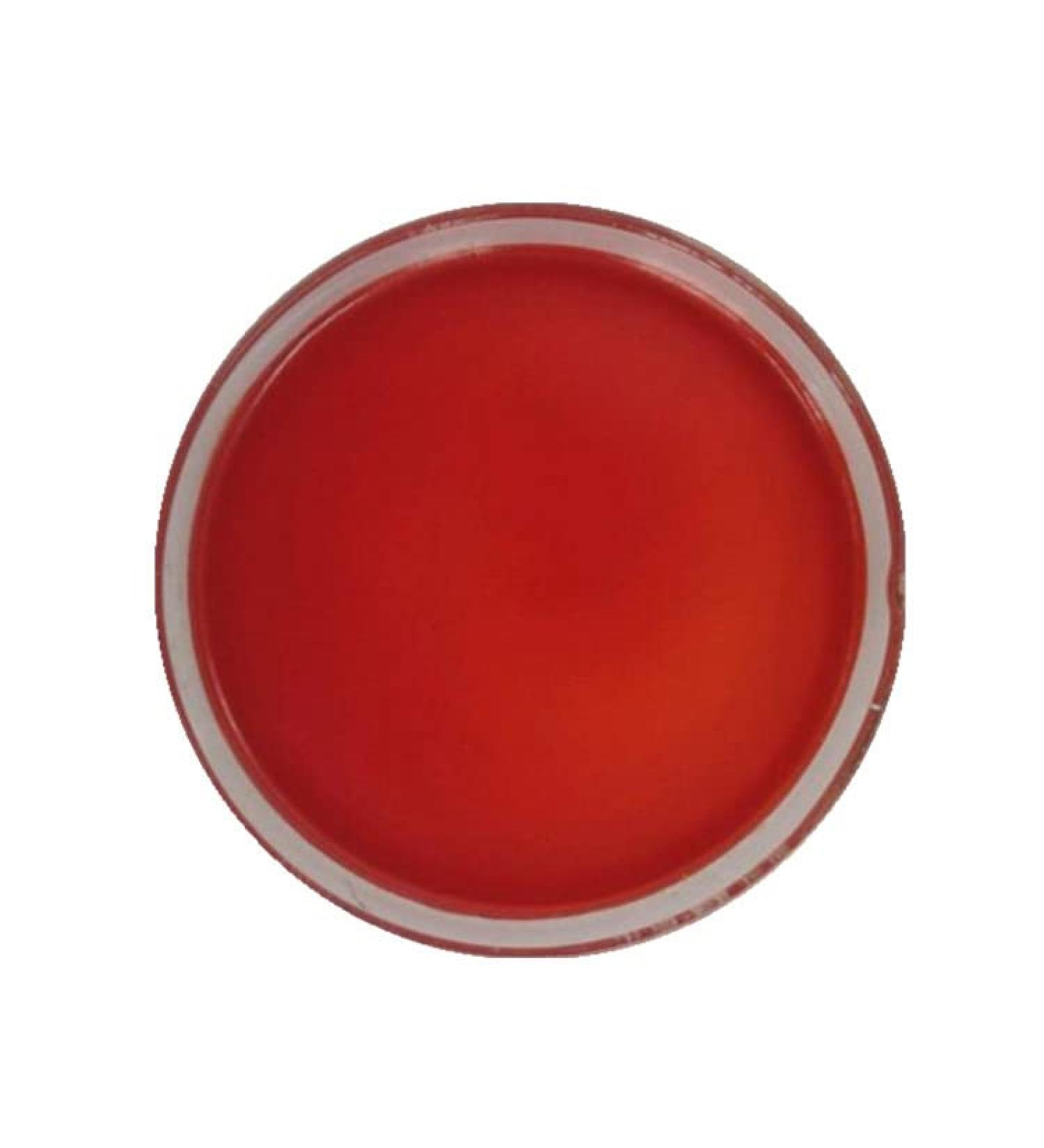 Wonderland herbs Antarctic Krill Oil Euphausia superba Oil (Tri-Shield) EPA 12% DHA8% 1.1 LB. - Buy Online on GoSupps.com