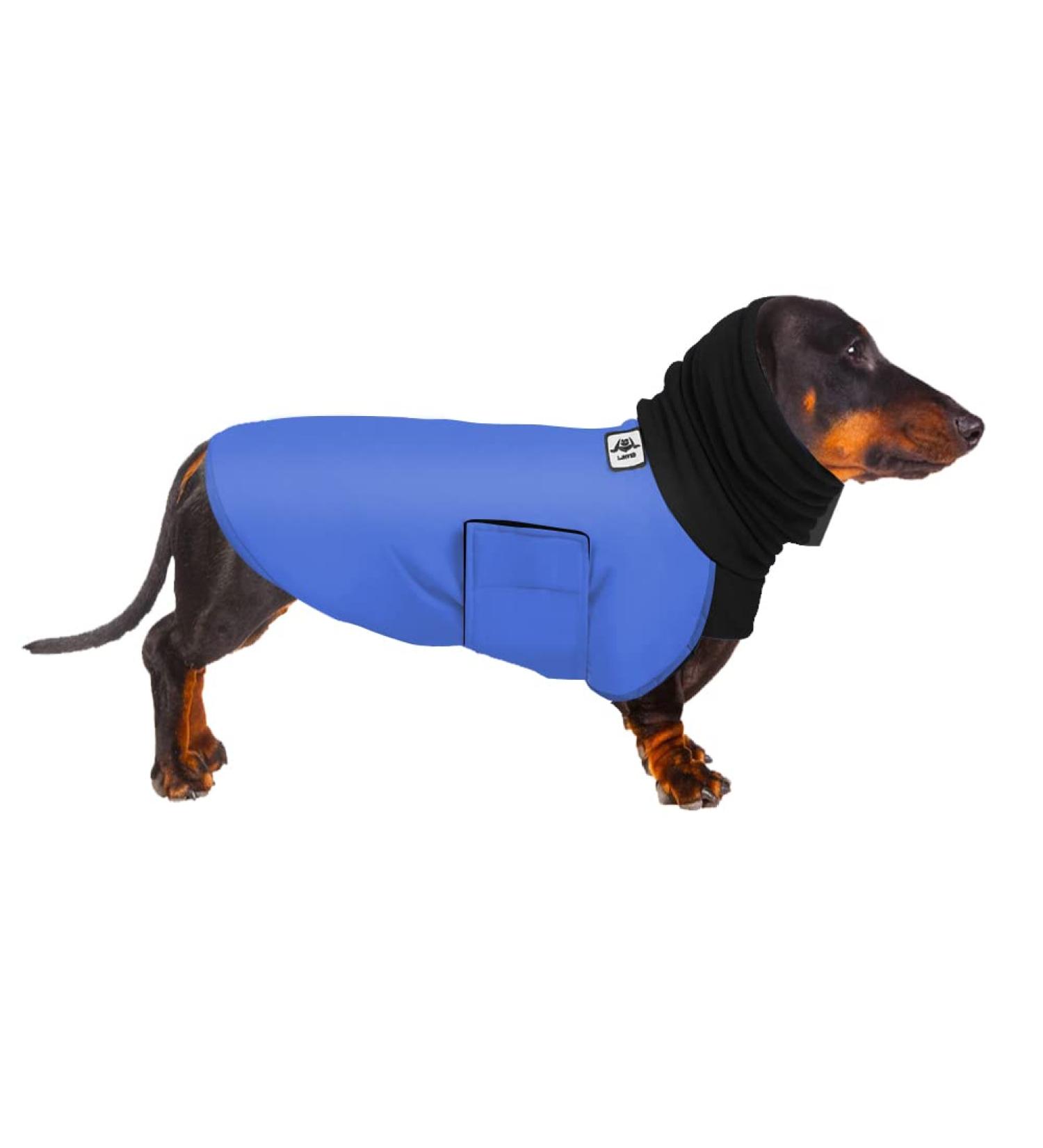 Dachshund Raincoat - Waterproof Winter Clothes for Miniature Dachshund XS Blue - Buy Online on GoSupps.com