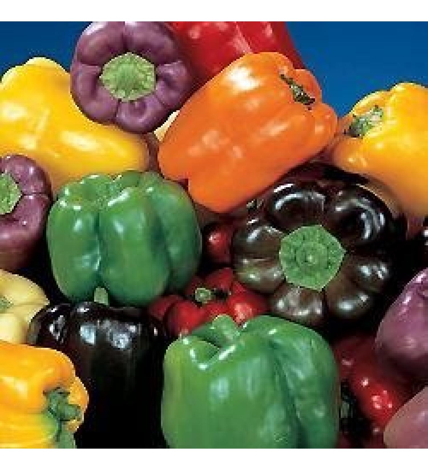 Shoppy Star Shoppy Star Bell Rainbow Organic Pepper 40 seeds, 240mg