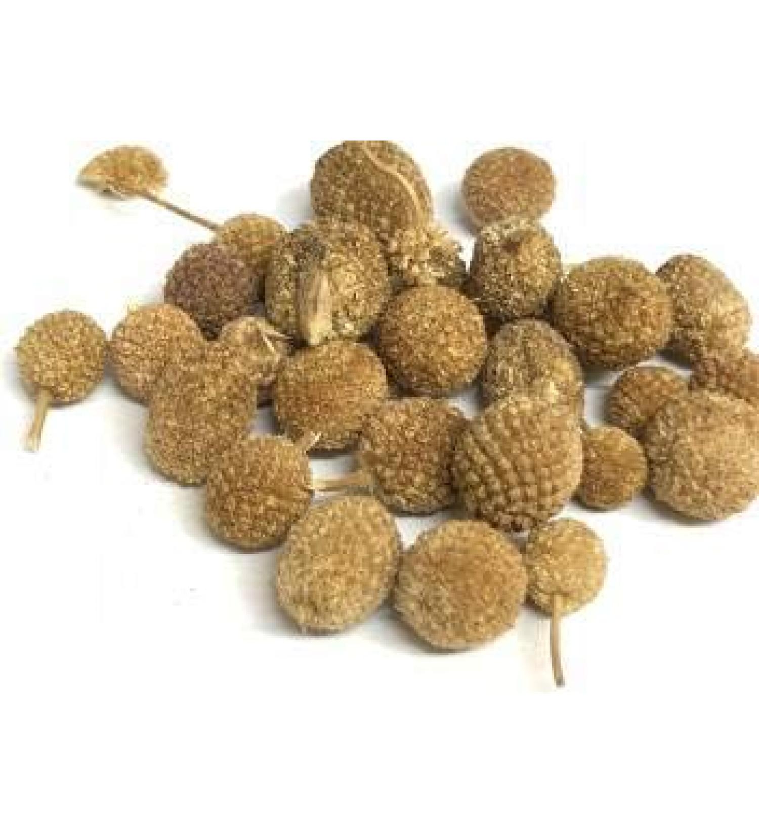 YANG GORAKHMUNDI | SPHAERANTHUS DRY 200 GMS