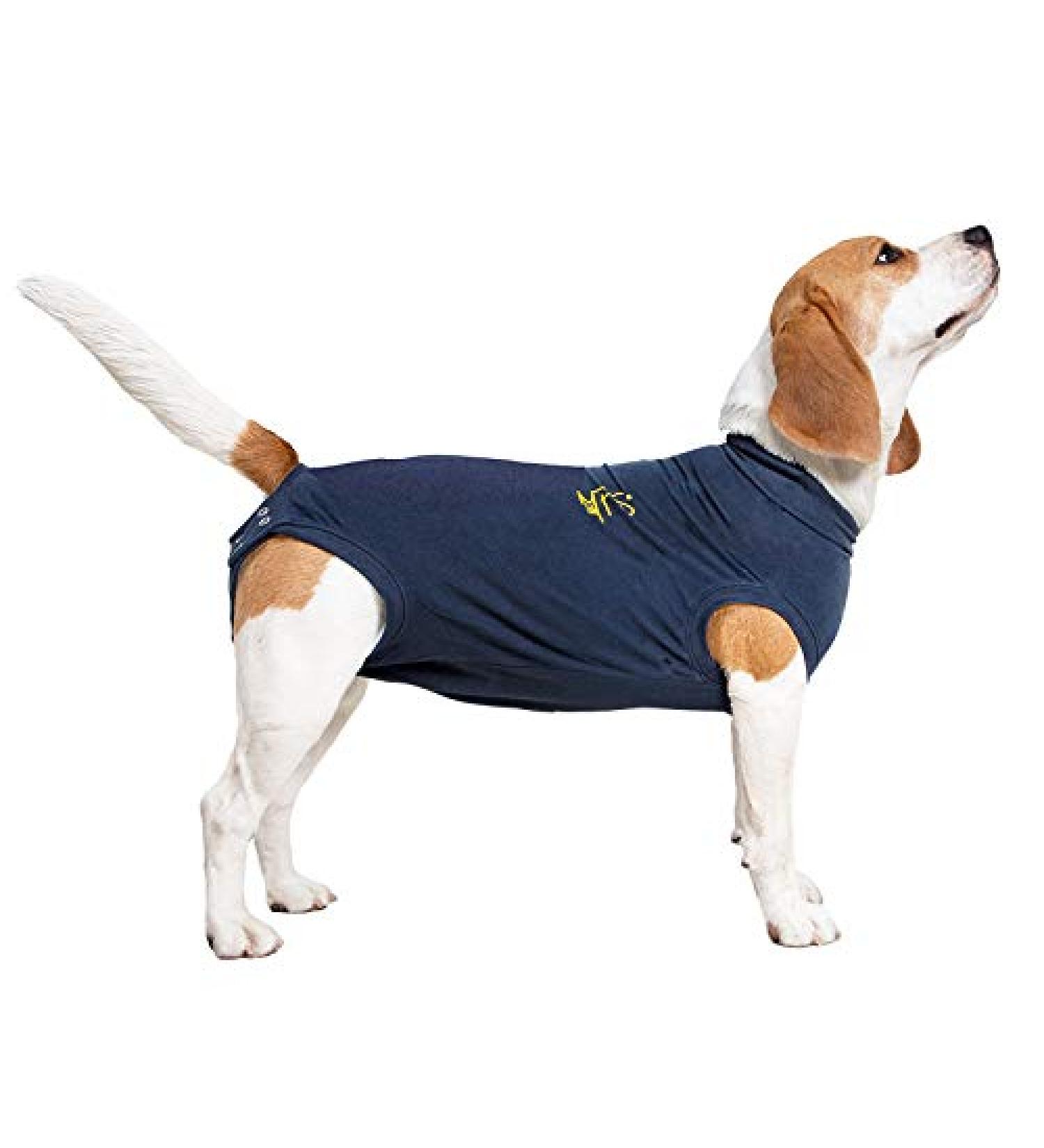 MPS Medical Pet Shirt Dog Surgery Recovery Suit Blue Small + Blue Small+ (plus) - Buy Online on GoSupps.com