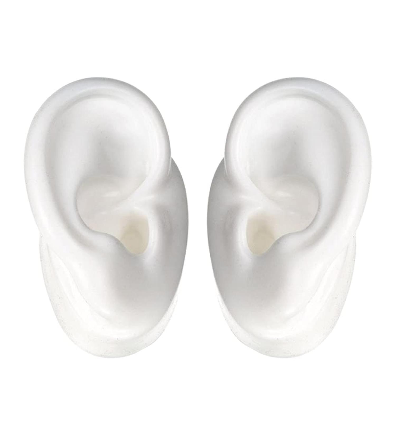 Buy Silicone Ear Mold Practice Tool - Acupoint Learning & Simulation Ear Model for Auditory Meatus | International Shipping Available - Buy Online on GoSupps.com