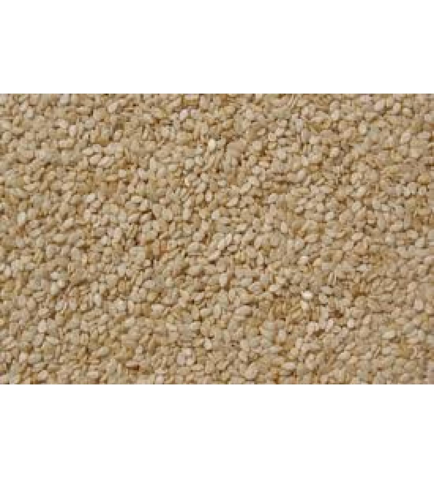 Balsara's White Sesame Seeds | 250g *Free UK Post* Sesame Seeds