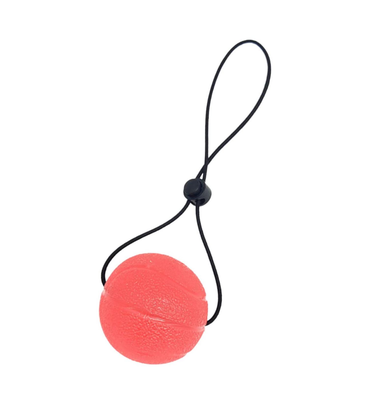 Shop Hapinary Handle Ball Exercise Balls - Fitness Trainer Handballs for Decompression | Pink TPE 20x5cm - Buy Online on GoSupps.com