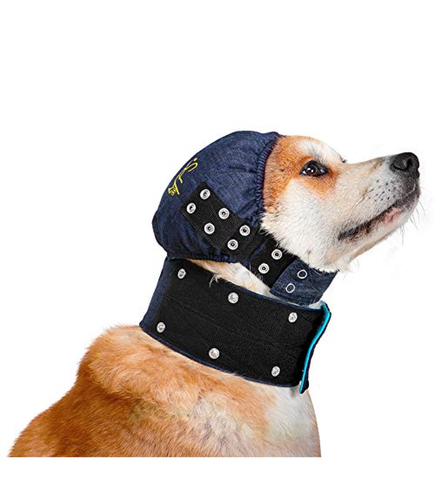 MPS Medical Pet Shirt Head Cover for Dogs Large - Buy Online on GoSupps.com