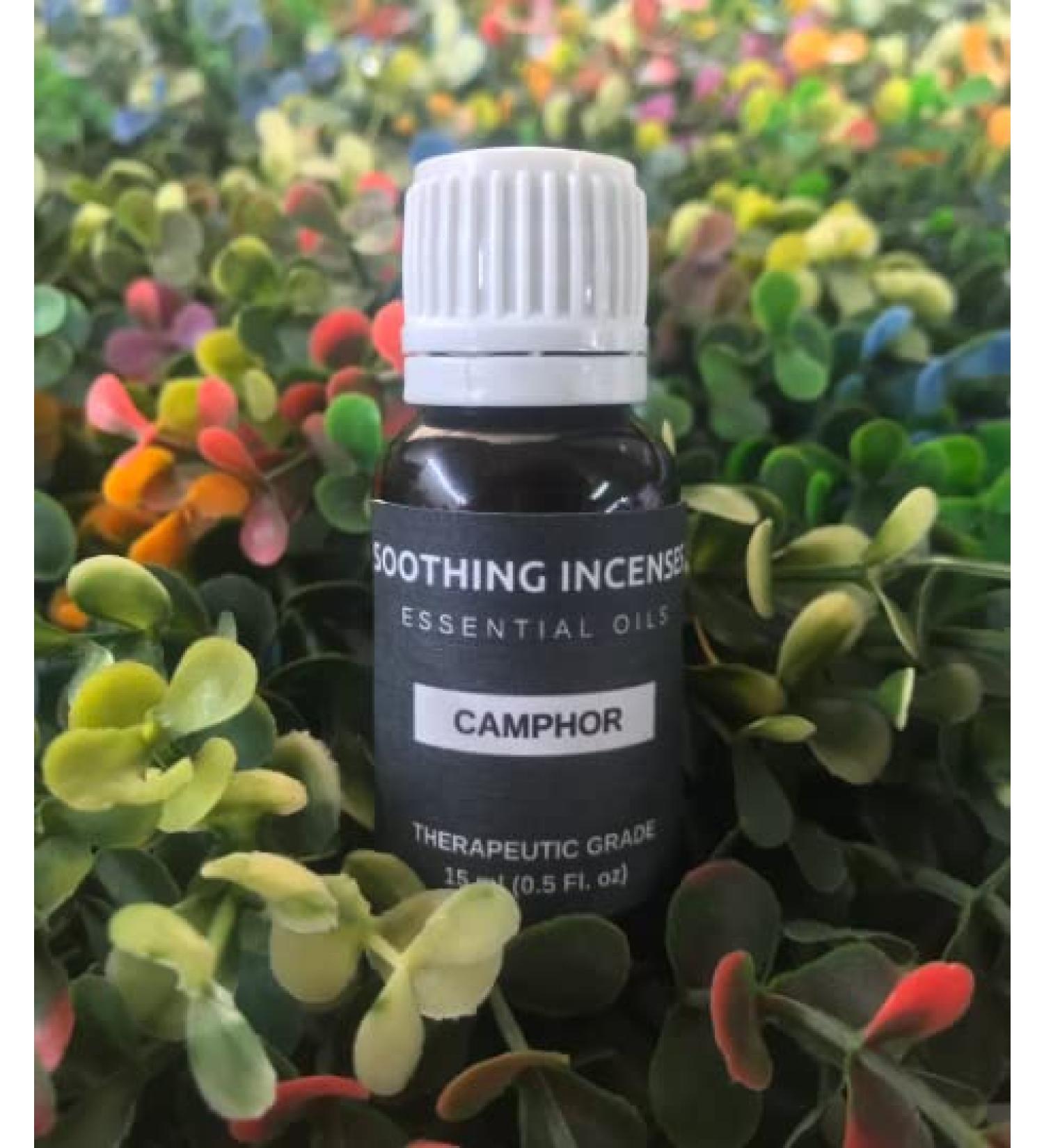 Camphor Essential Oils Pure Natural Aromatherapy Massage Oil - Therapeutic Grade - 100% Natural Incense - Pure essential oil (10ml) 1 Fl Oz (Pack of 1)