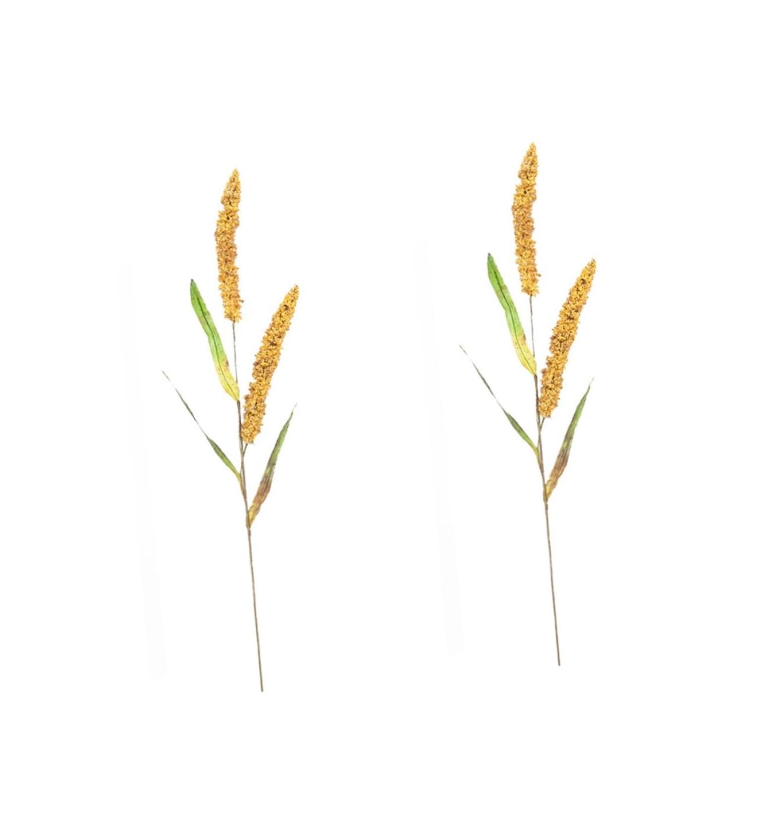 MAGICLULU 2pcs Simulated Ears of Corn Decoration for Home Artificial Wheat Stalks Wheat Ears Dried Flowers Faux Plants Fake Plant Decor Fake Ear of Wheat Pu Manual Fake Grass Goldenx2pcs 12X75CMx2pcs - Buy Online on GoSupps.com