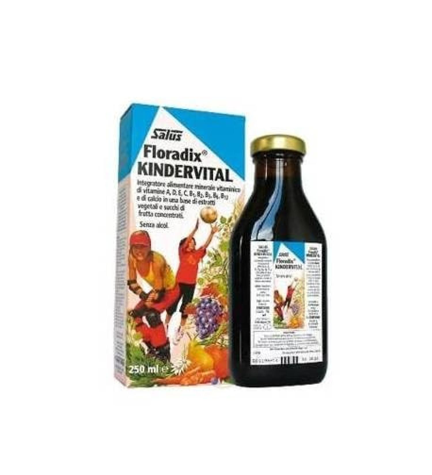 Floradix Floradix Kindervital 250ml Kids Formula (Pack of 2)