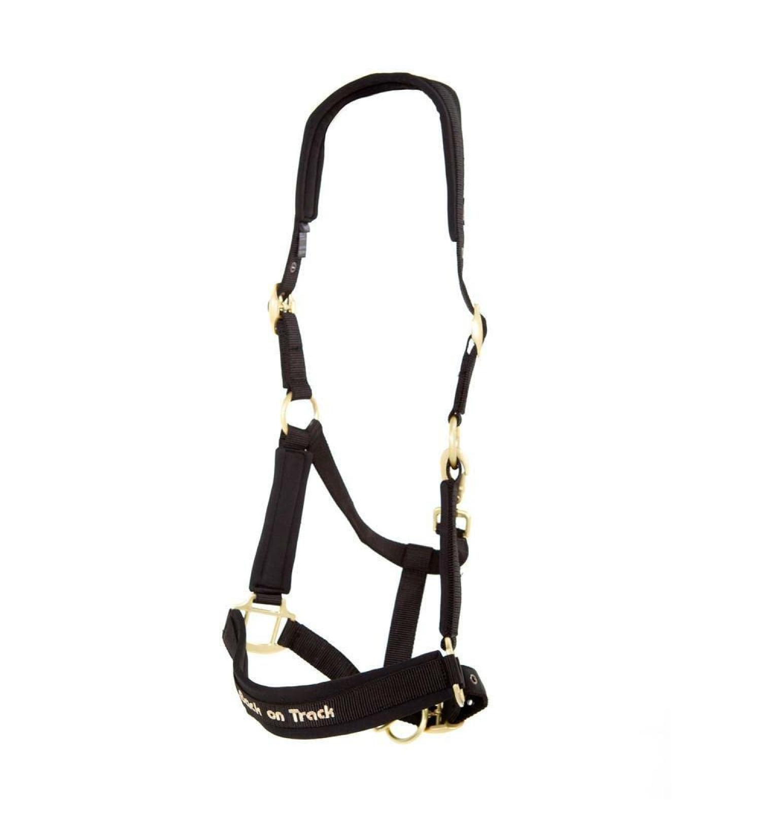Buy Back on Track Halfer Werano Pony - Premium Performance & Comfort - International Shipping Available - Buy Online on GoSupps.com