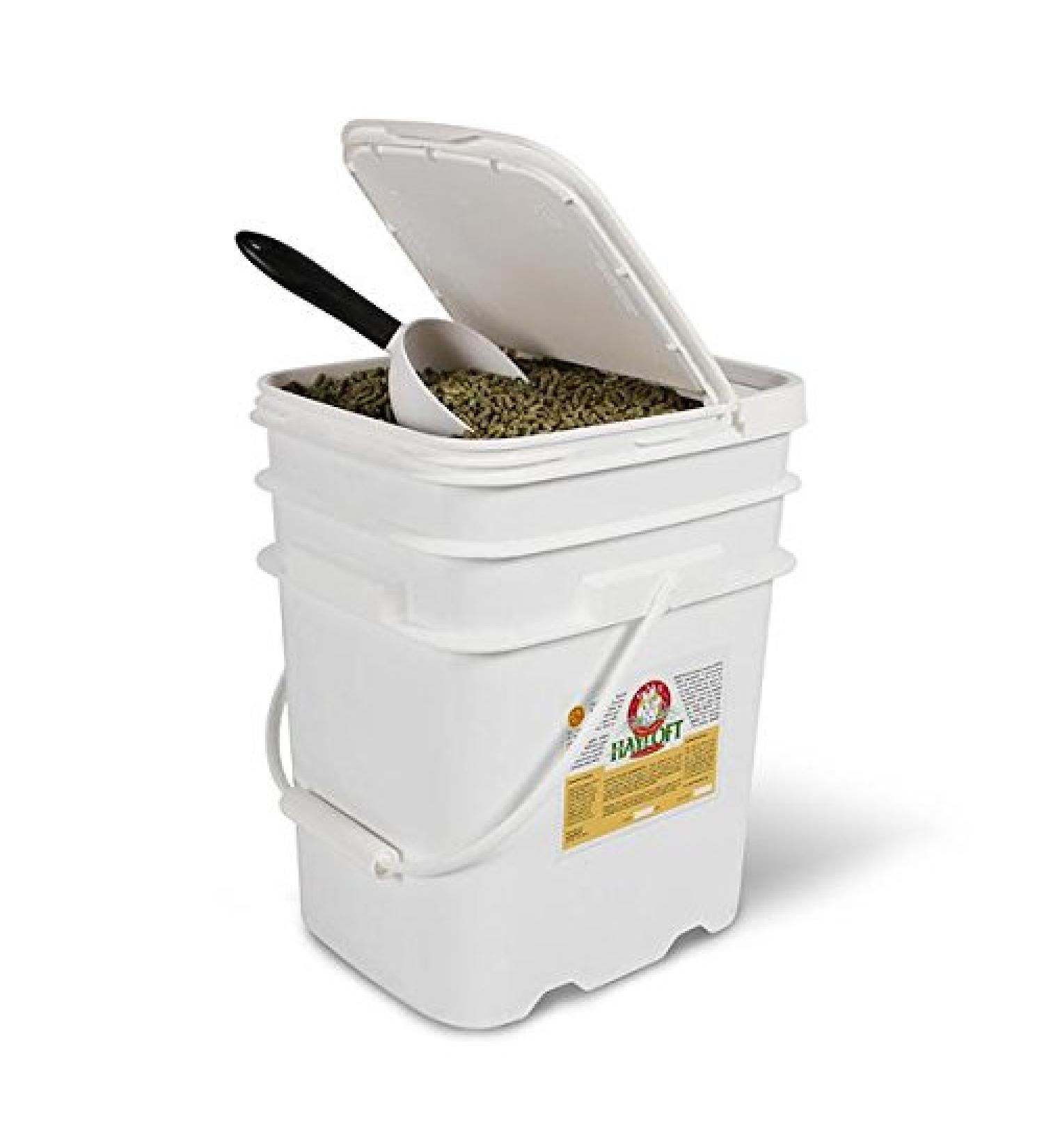 Kms Hayloft Alfalfa Complete Pellets for Guinea Pig and Rabbit Alfalfa Hay Pelleted Food (10 lb Bucket) 4.53 kg (Pack of 1) - Buy Online on GoSupps.com