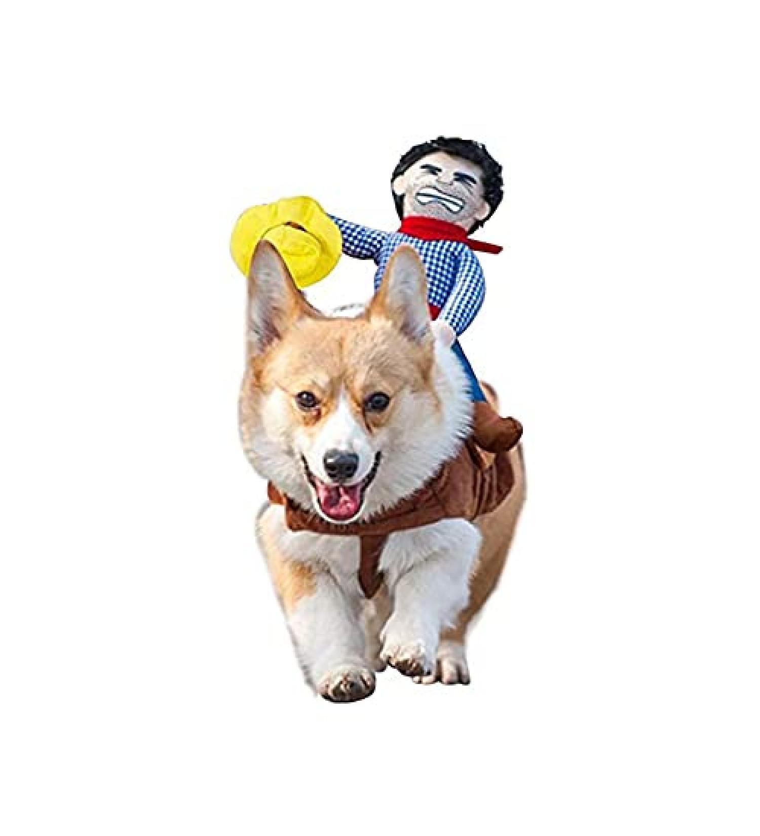 T2Y Cowboy Rider Dog Costume - Halloween Knight Style Clothes for Medium and Large Dogs with Doll and Hat - Buy Online on GoSupps.com
