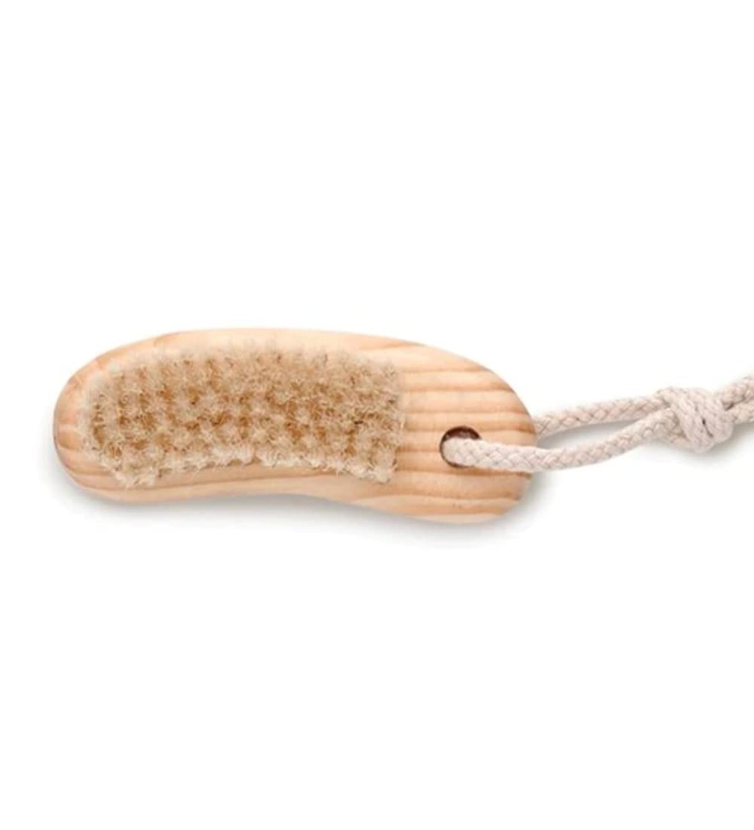 BAUDELAIRE Cedar Nail Brush - 4 - 1 EA - Buy Online on GoSupps.com