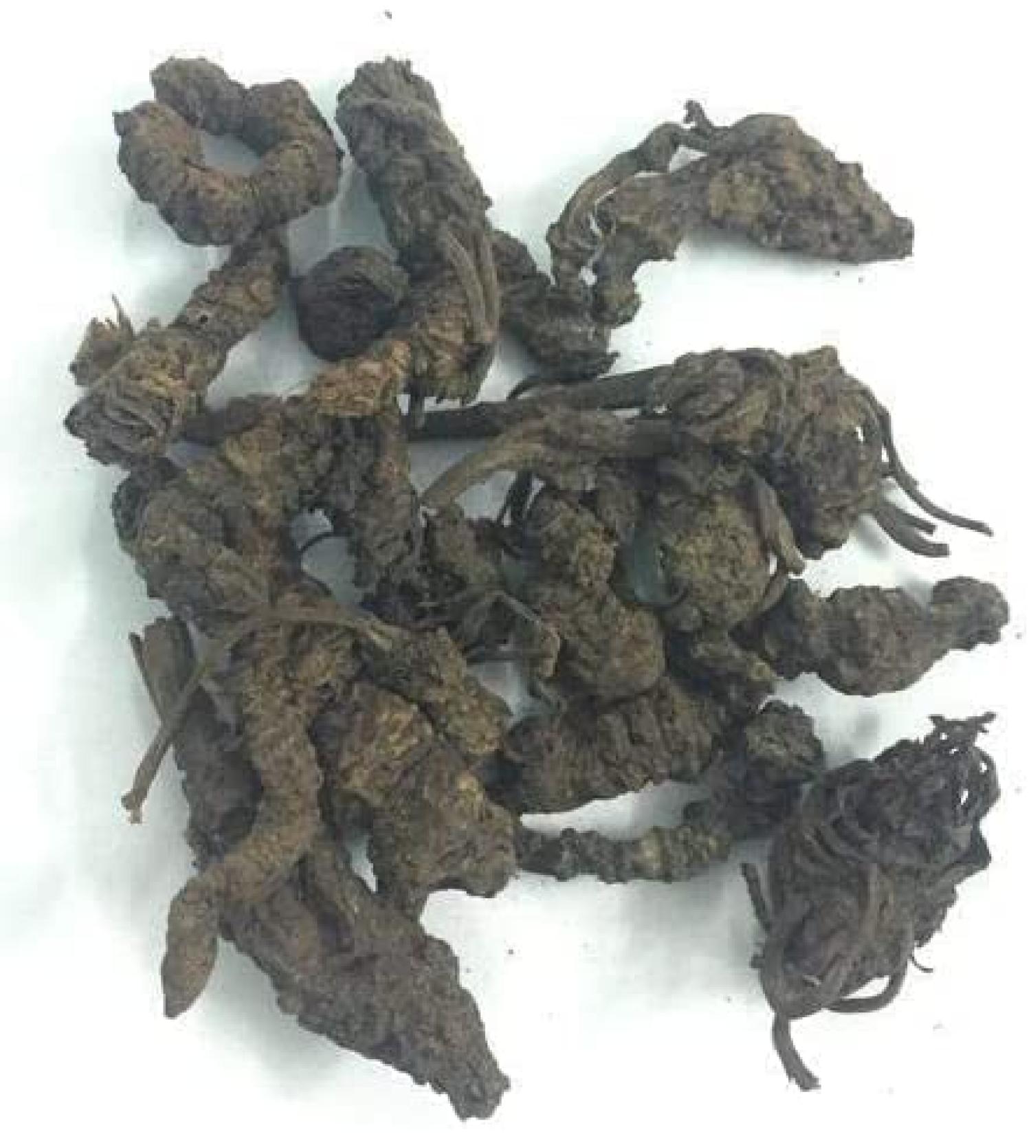 CROW Tagar Ganth - Mushkbala - Sugandhabala - Valerian Root - Valeriana Wallichi (50 GMS)