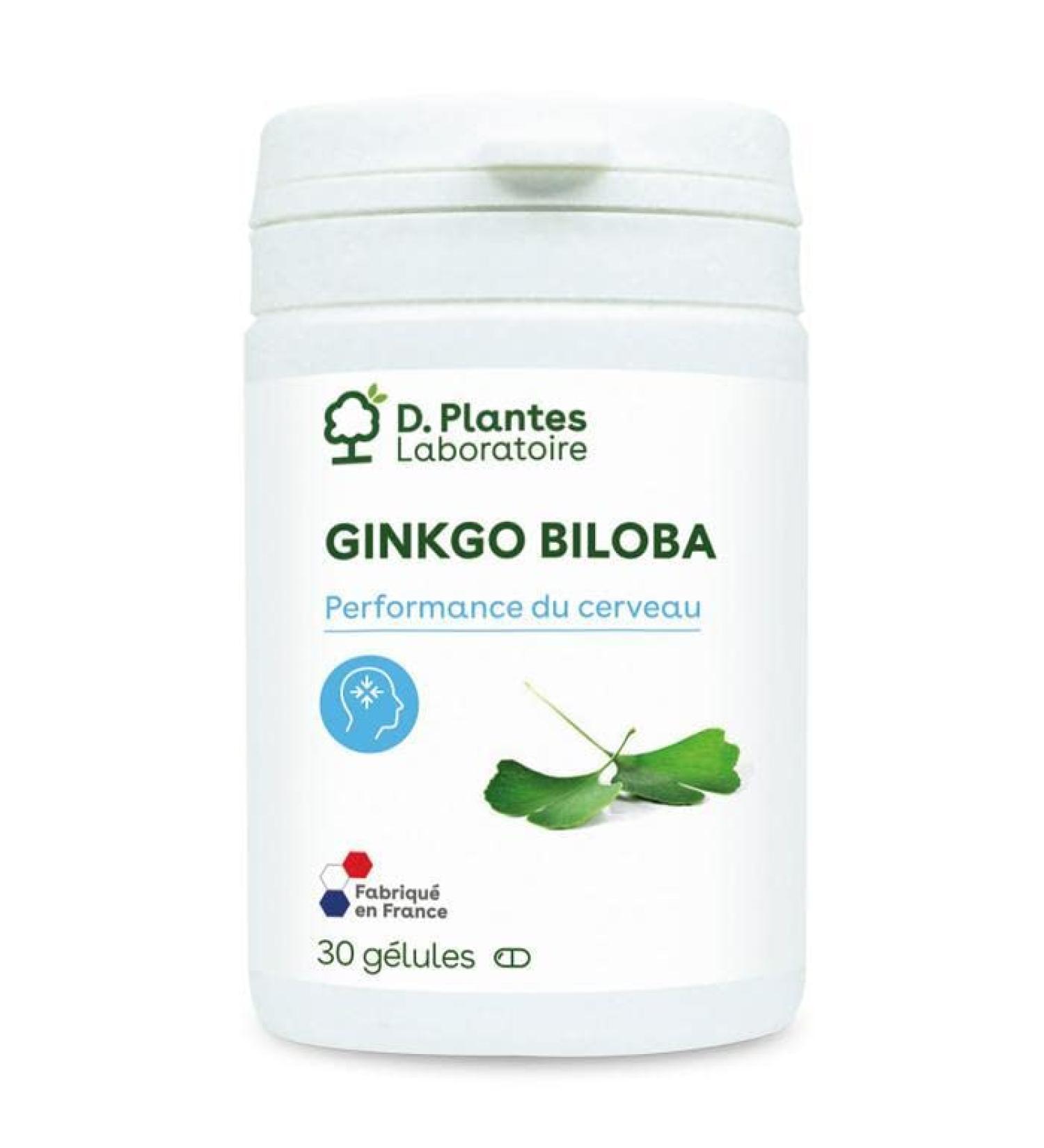 Ginkgo Biloba Concentrated Extract