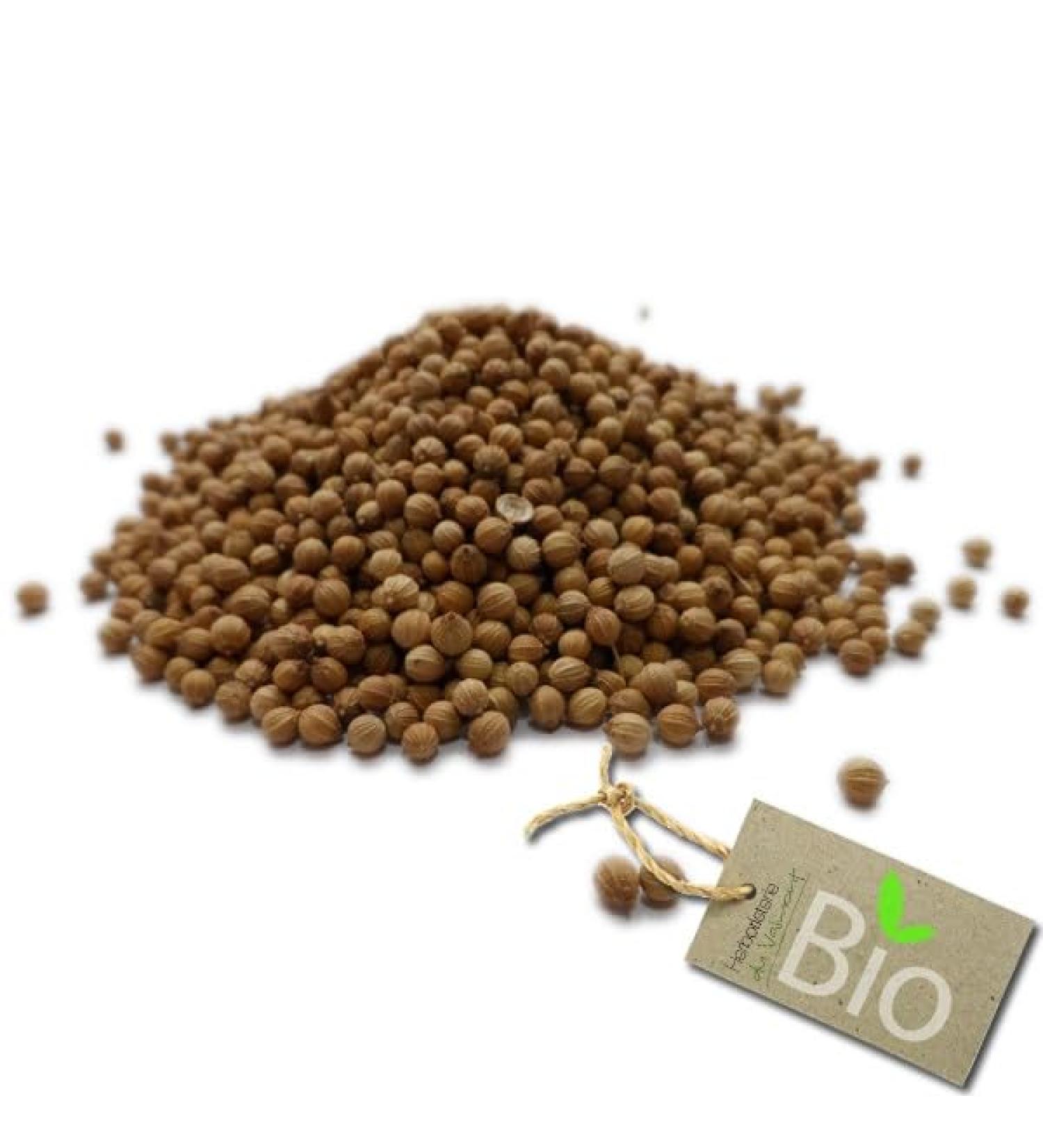 Coriander - Coriandrum sativum - Organic Whole Seeds - 100g