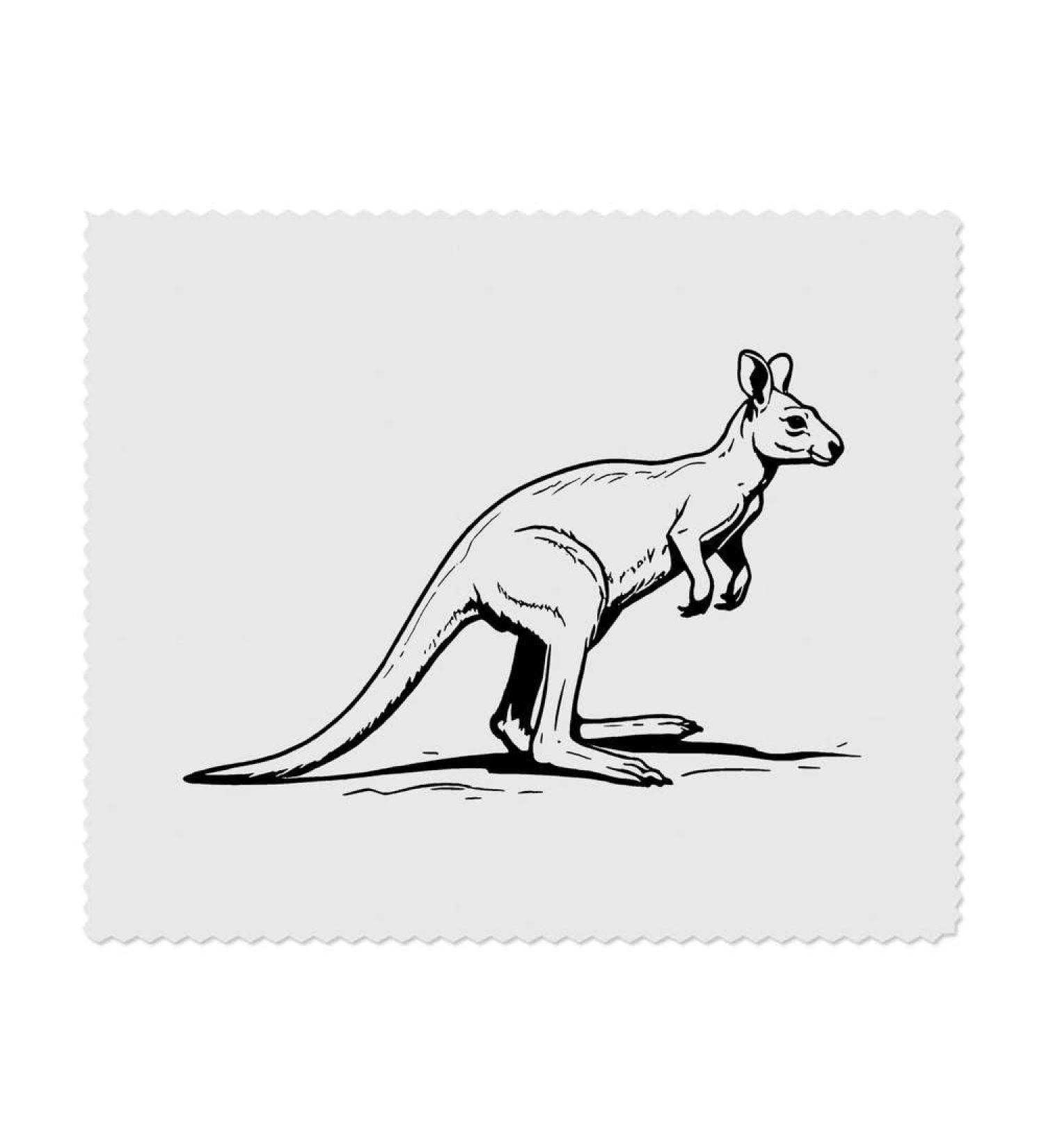 2 x Australian Kangaroo Microfiber Cleaning Cloths - Ultra Absorbent & Eco-Friendly | International Shipping Available - Buy Online on GoSupps.com