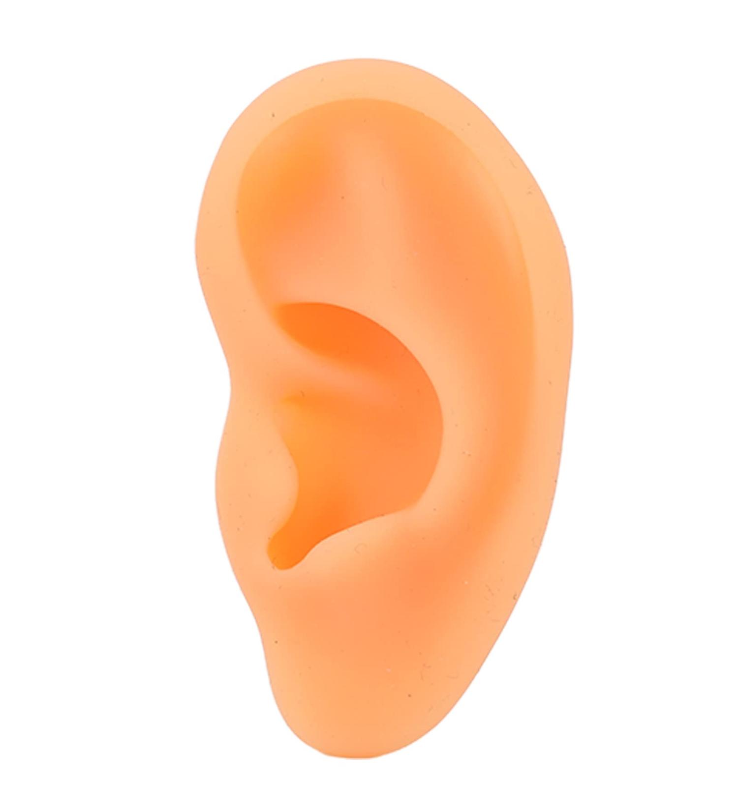 Soft Silicone Rubber Fake Ear Model for Hearing Tools and Jewelry - Right Ear Display - Buy Online on GoSupps.com