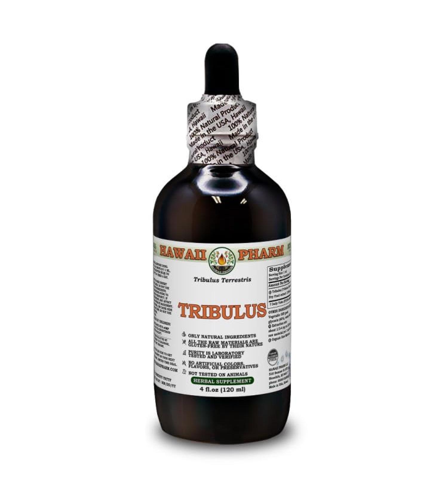 Hawaii Pharm Europe Tribulus Terrestris Alcohol-Free Liquid Extract Glycerite 120ml - Premium Dried Fruits Supplement for Enhanced Vitality - Buy Online on GoSupps.com