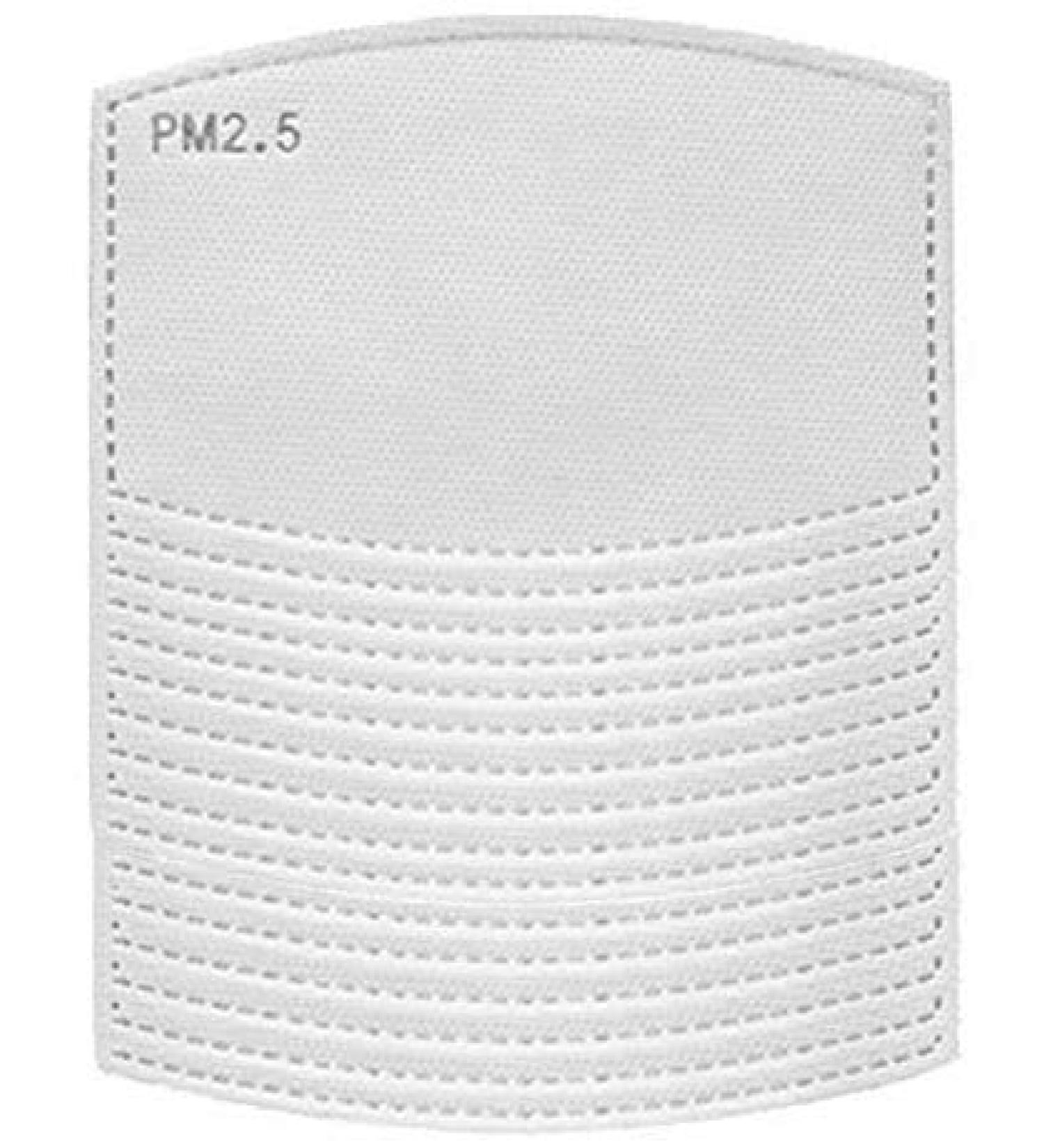 Mildred James 100 Pcs Activated Carbon Filters Meltblown Non-Woven Cloth 5 Layers Filters - Buy Online on GoSupps.com