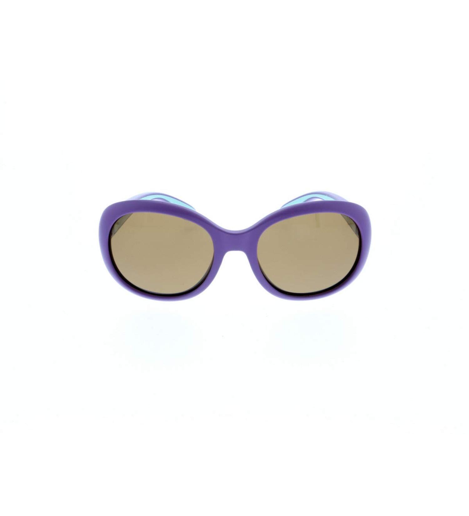 HIS HPS90103-3 sunglasses Brown pole