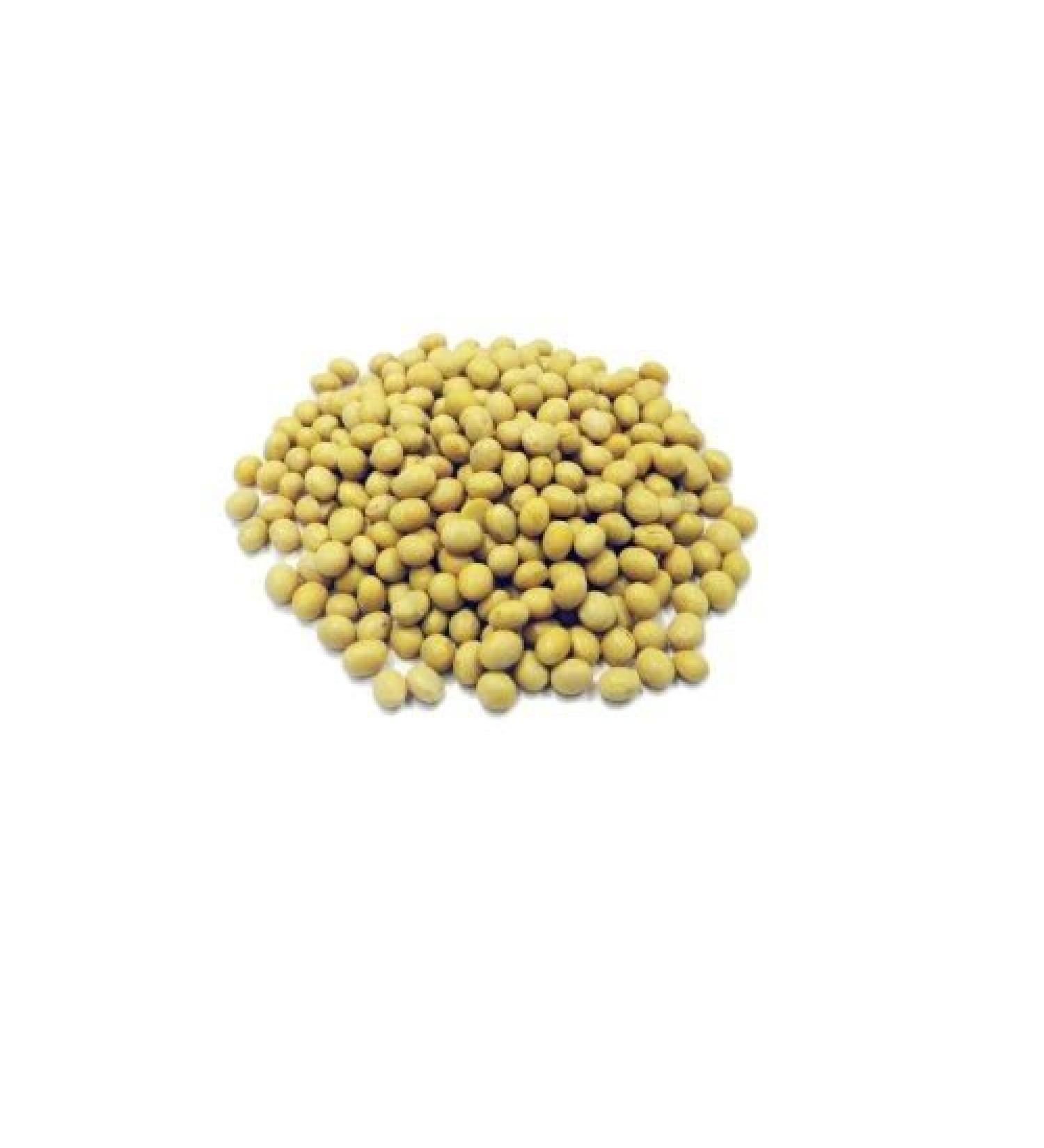 SOYA Beans 200g