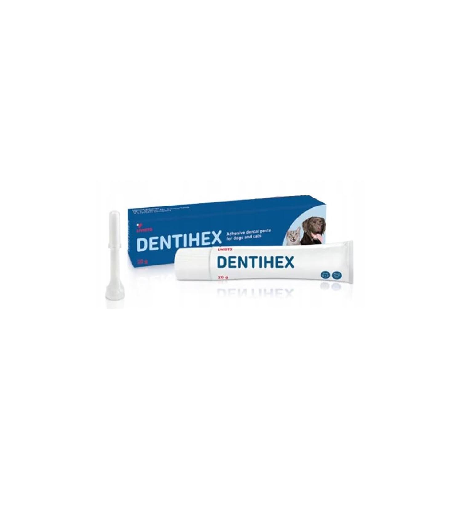 Livisto Dentisept toothpaste for cats and dogs 20 g