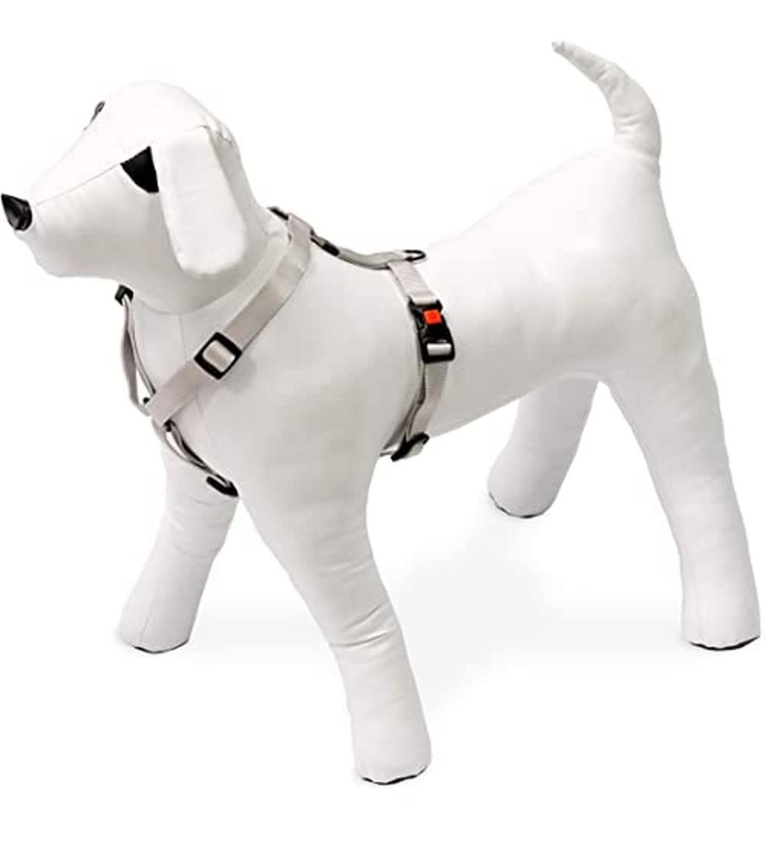 Buy Karlie Art Sportiv Plus Harness - New Universal Colors | 20mm Width 45-70cm Light Grey - International Shipping Available - Buy Online on GoSupps.com