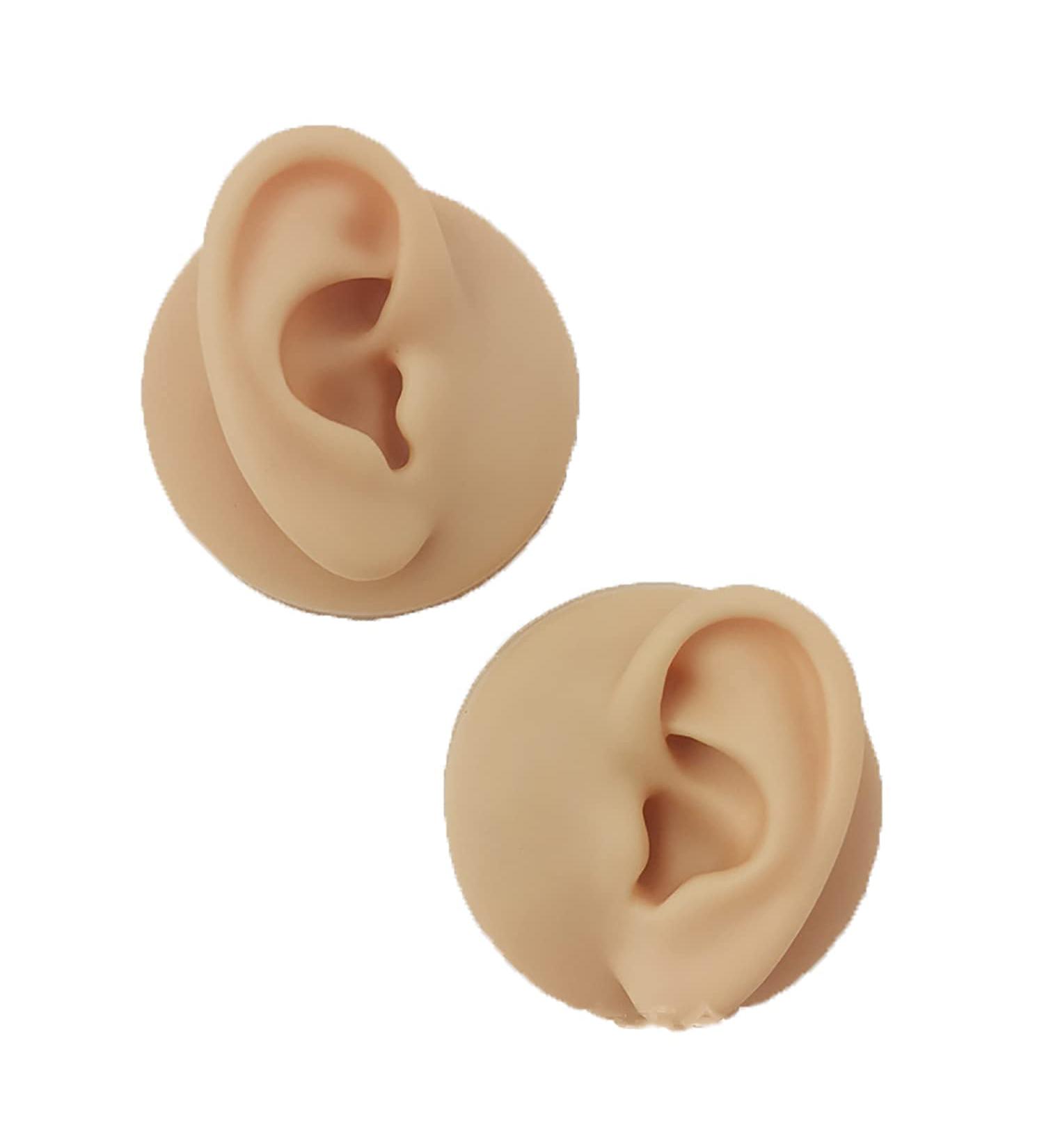 Soft Silicone Human Ear Simulation Template Jewelry Display for Earrings Suitable for Ear Lobe Drilling Exercises and Exercises - Buy Online on GoSupps.com