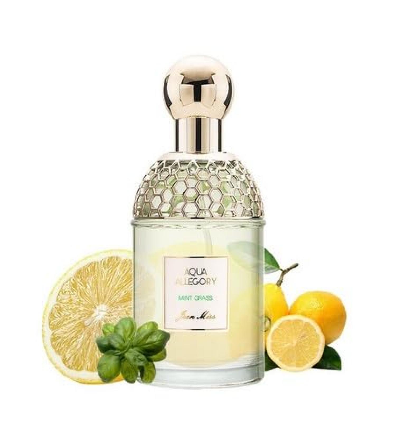 Women's Perfume Flower fruit fragrance Fresh natural lasting Eau de Toilette (Large Mint grass) 3.4 Fl Oz (Pack of 1) Mint grass - Buy Online on GoSupps.com