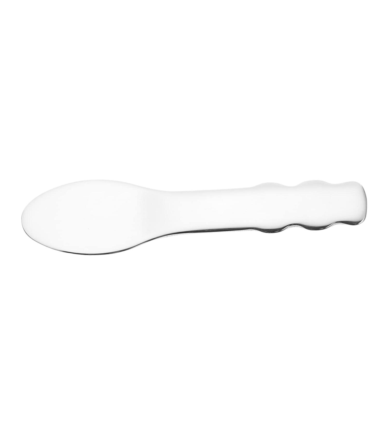 Gogogmee Stainless Steel Spoon Skin Caring Tool Facial Scoop Makeup Pick Spoons Cream Scoops Beauty Spatulas Facial Spoon Facial Cream Spoons Makeup Supply 6.5x2x0.2cm Silver - Buy Online on GoSupps.com