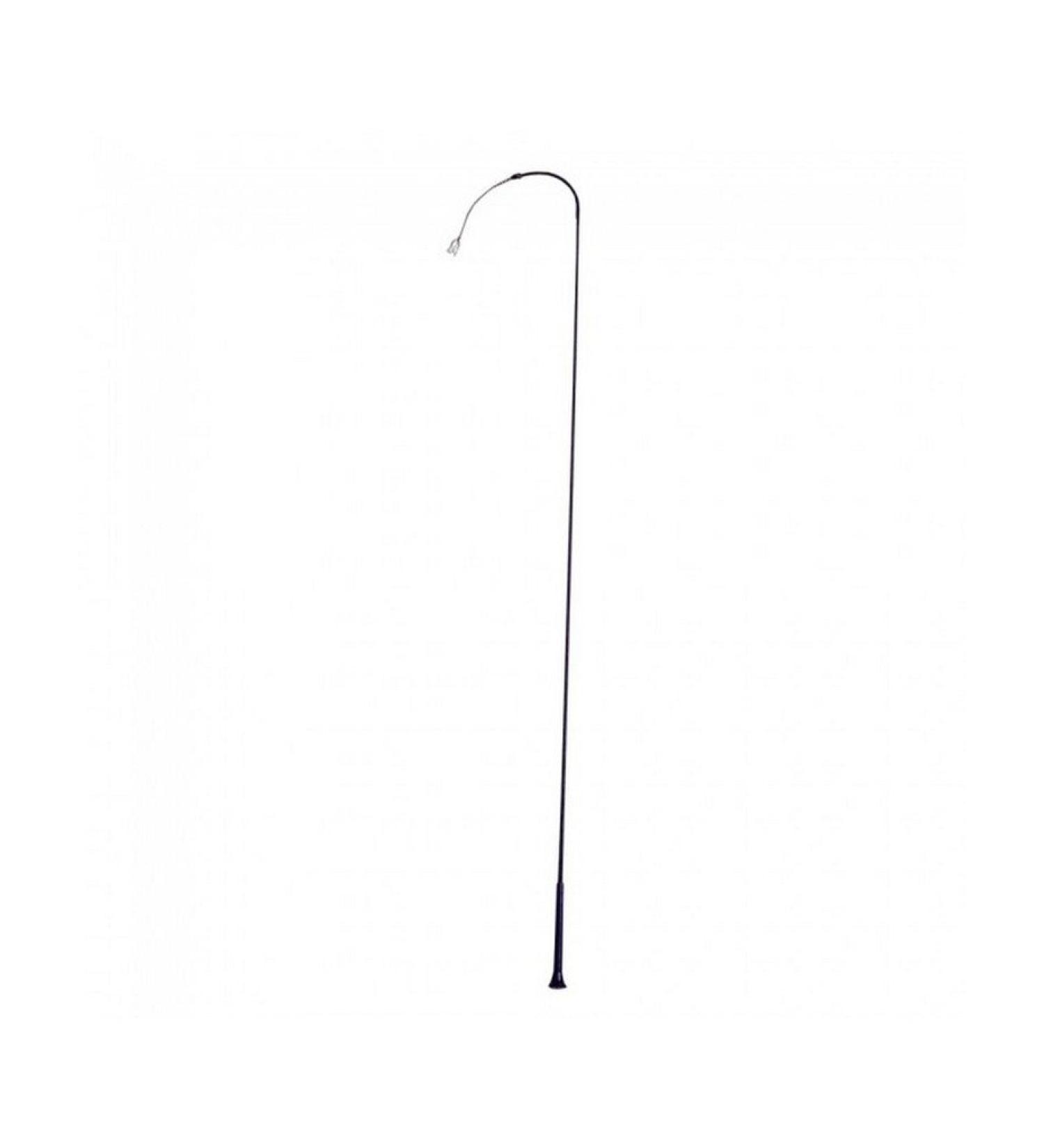 Tough 1 Training Whip, Black ,36