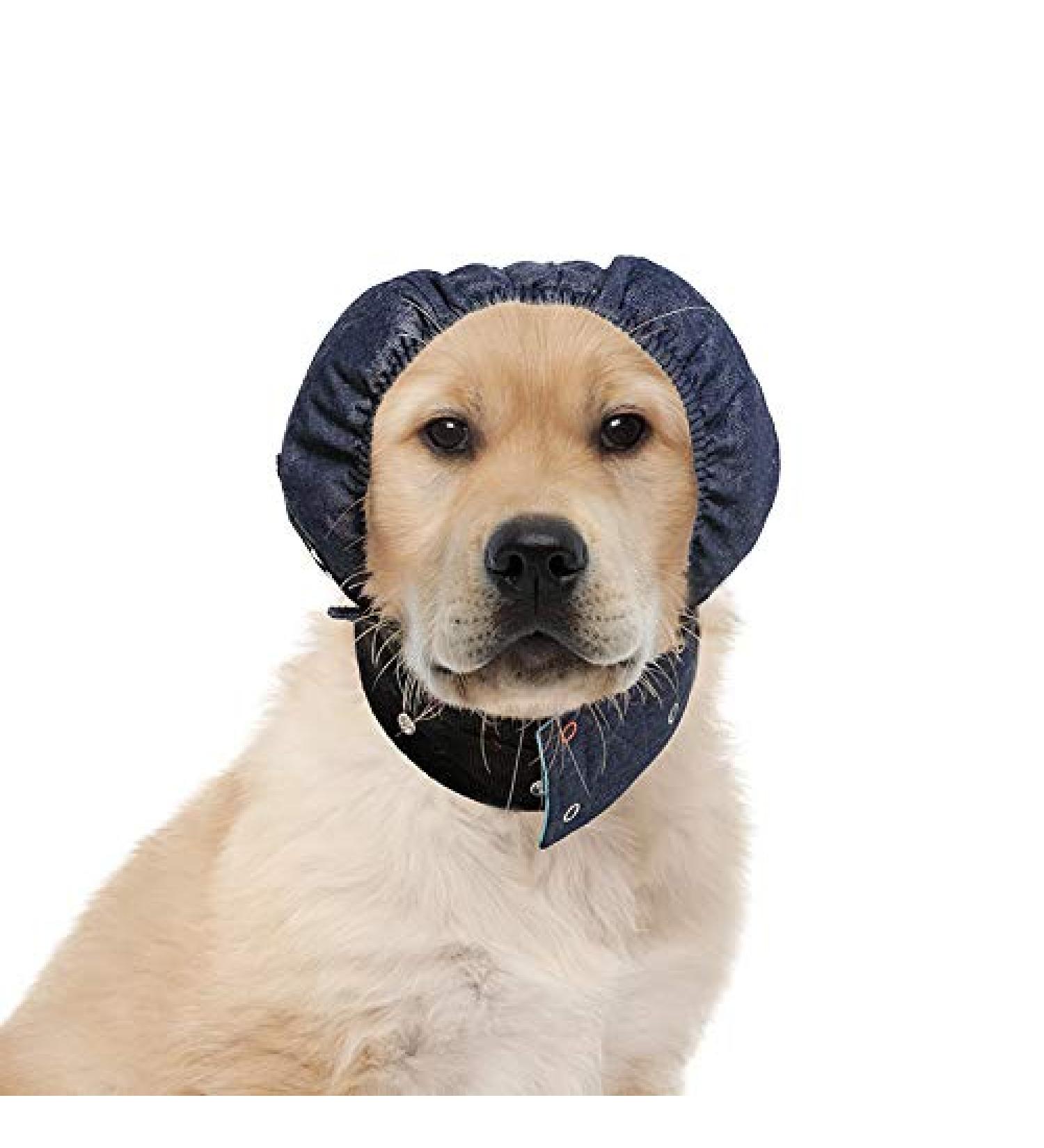 MPS Head Cover for Small Dogs - Protective & Comfortable with Cover Pad | International Shipping Available - Buy Online on GoSupps.com