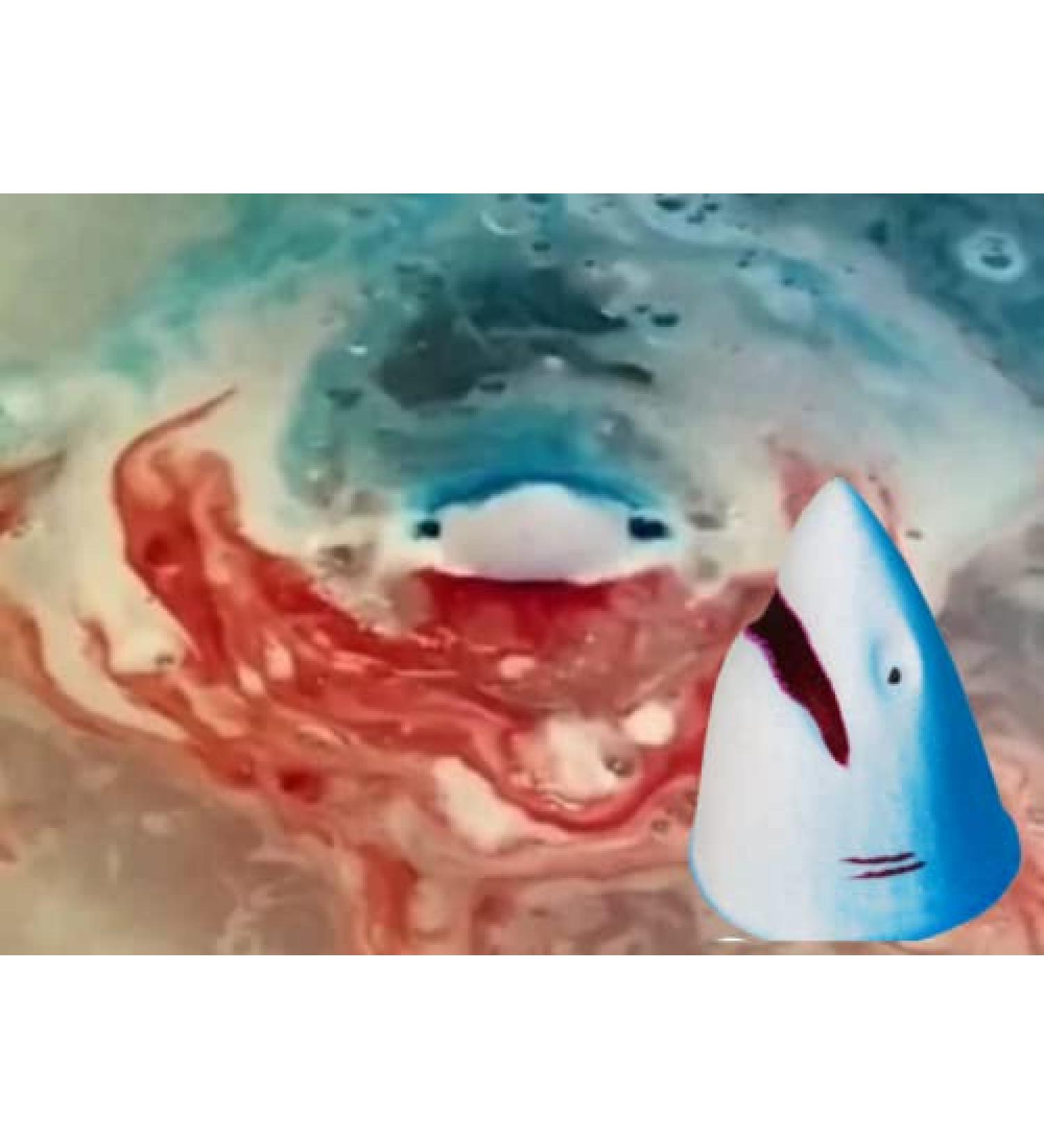 Shark Attack Bath Bomb - Vegan Approved Fizzer with Bleeding Shark Bite Fun, Unique Gift for Kids, Blue & Red Blood, Made in the UK - Buy Online on GoSupps.com
