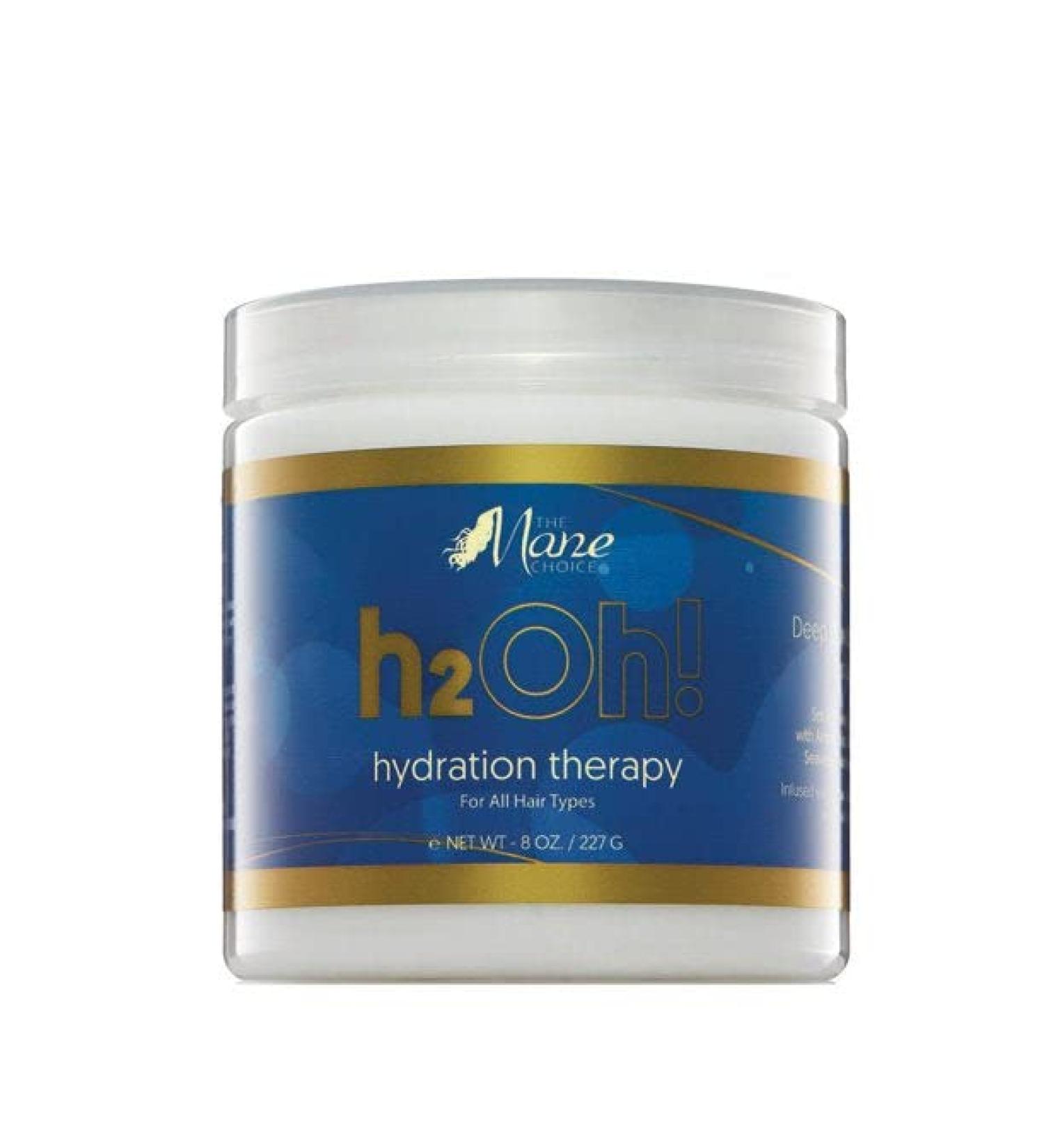 The Mane Choice H2Oh! Hydration Therapy Hair Masque 8 Oz