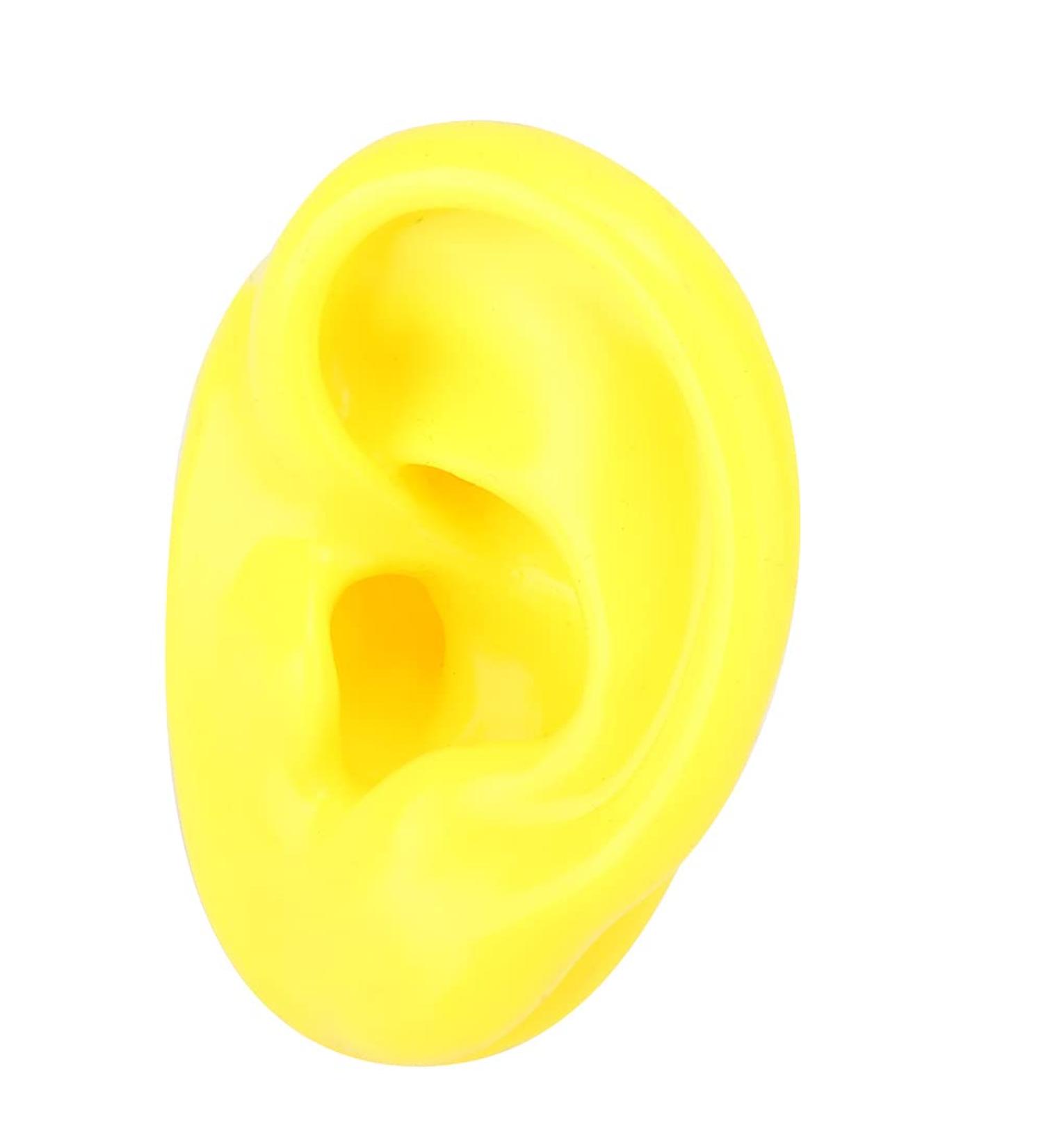 Soft Silicone Fake Ear Model - Left Human Ear Display Teaching Aid (Yellow) #713 | International Shipping Available - Buy Online on GoSupps.com