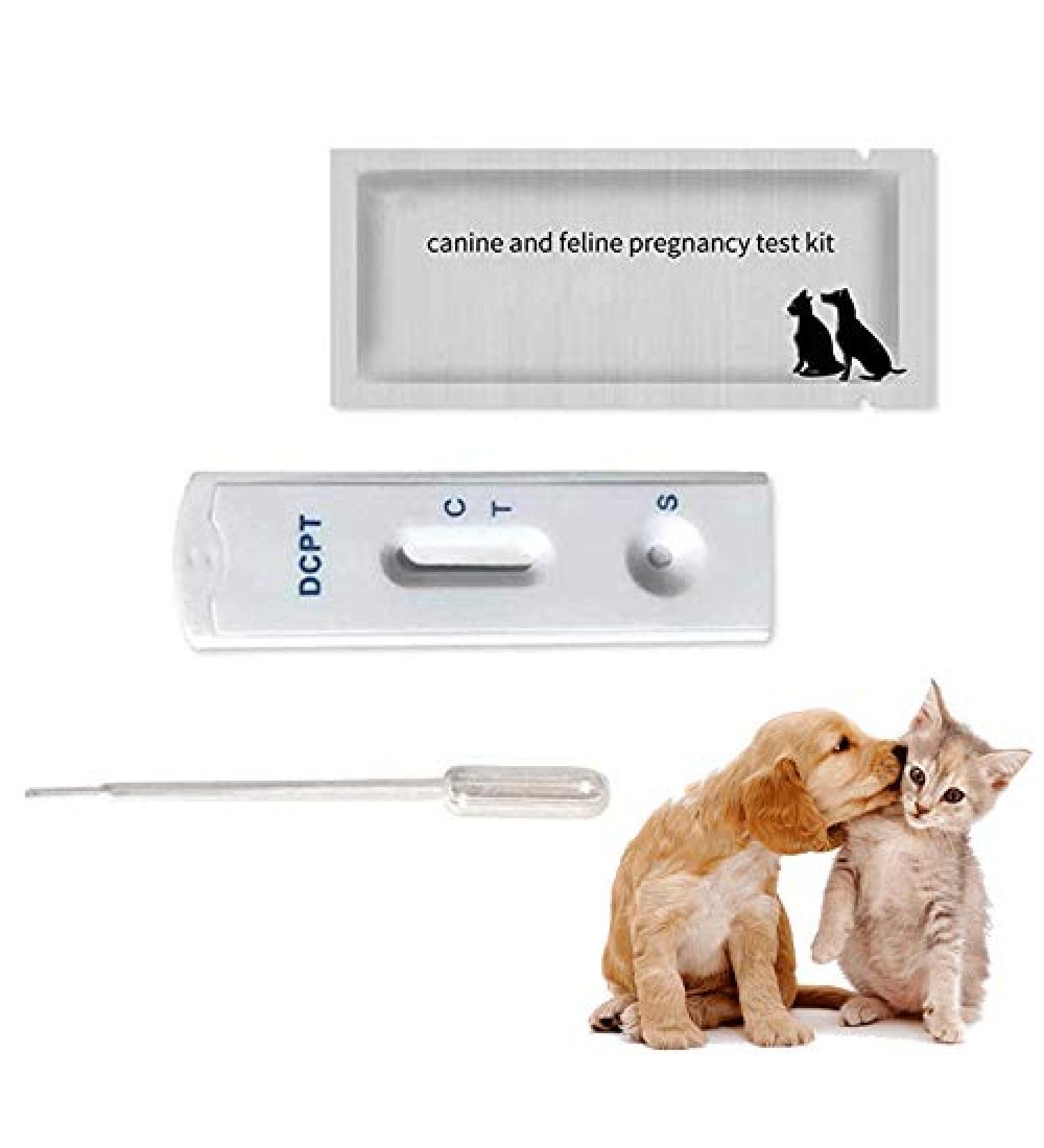 HJJH Pet Pregnancy Test Kit | Quick & Reliable Early Detection for Dogs & Cats | Accurate Pregnancy Diagnosis - Buy Online on GoSupps.com