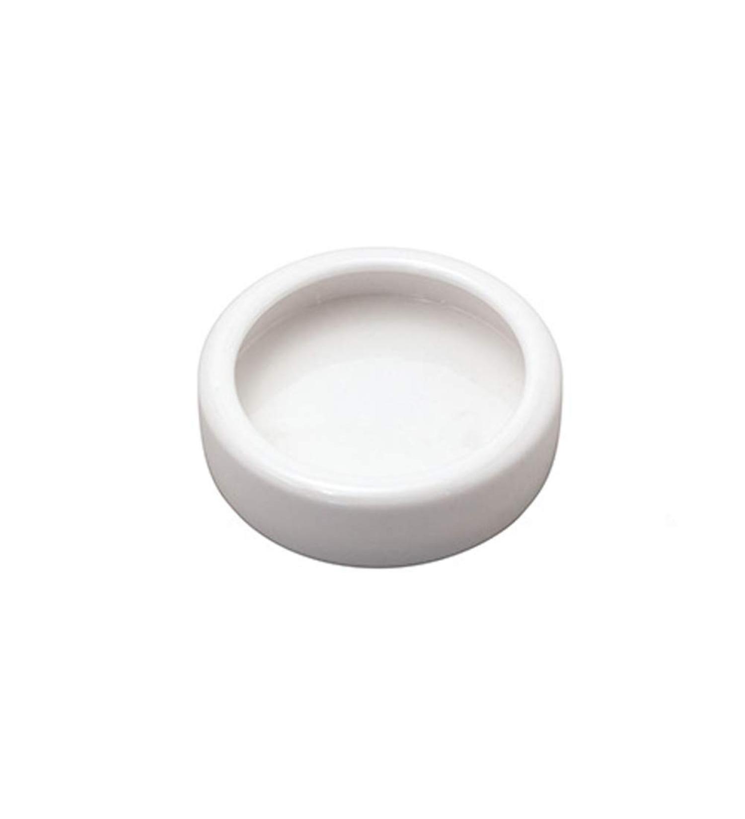 Reptile Food Water Dish Worm Bowl Mealworm Feed Feeder Mini Reptile Food Bowl Ceramics Made (S) - Buy Online on GoSupps.com