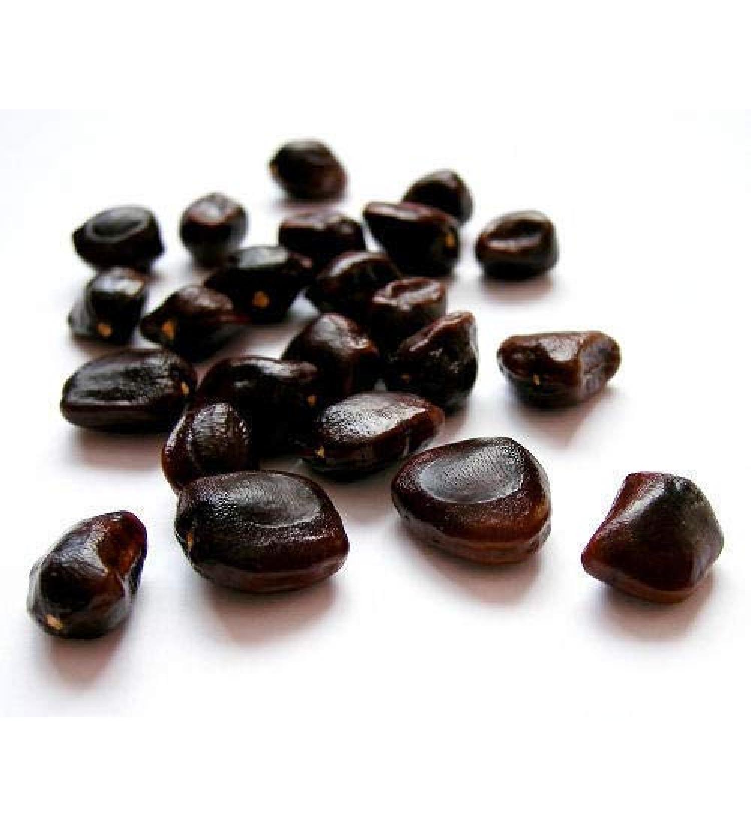 10 semi di tamarindo Sour Erbe tailandesi