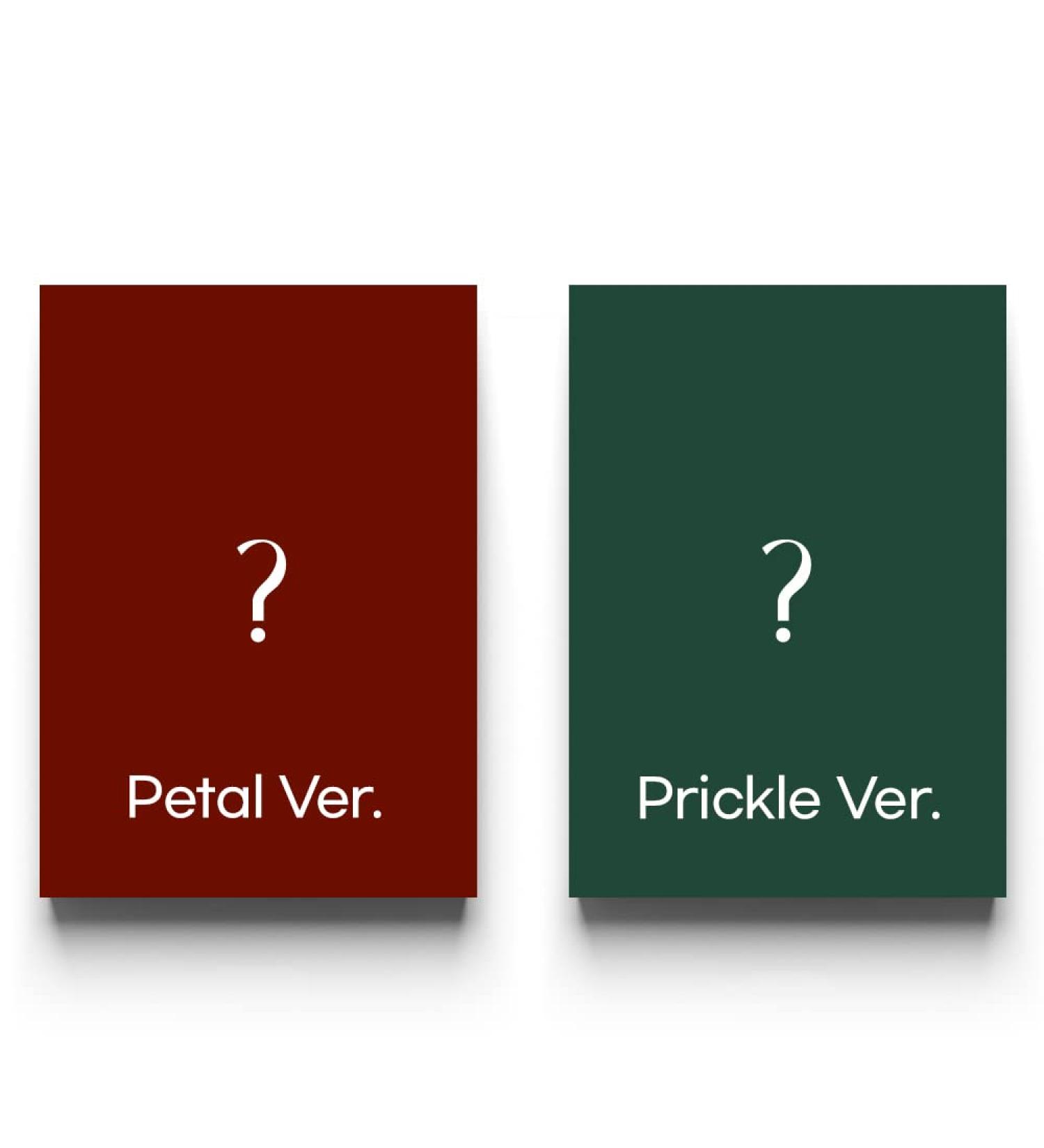 RYEOWOOK - A Wild Rose 3rd mini album (Set ver.) - Buy Online on GoSupps.com