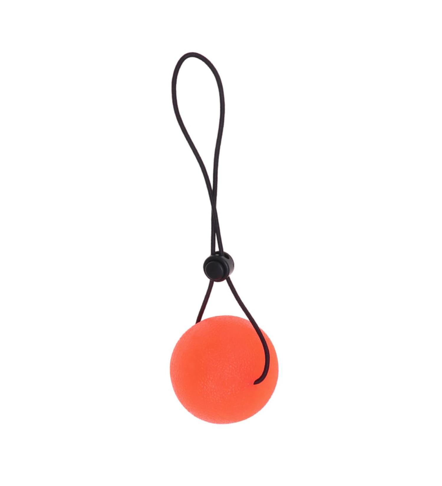 Buy Gatuida 5.3cm Orange Wrist Exercise Ball Handle | Strength Training Squeezeball & Desk Gripper Fitness Toy for Power and Endurance - Buy Online on GoSupps.com