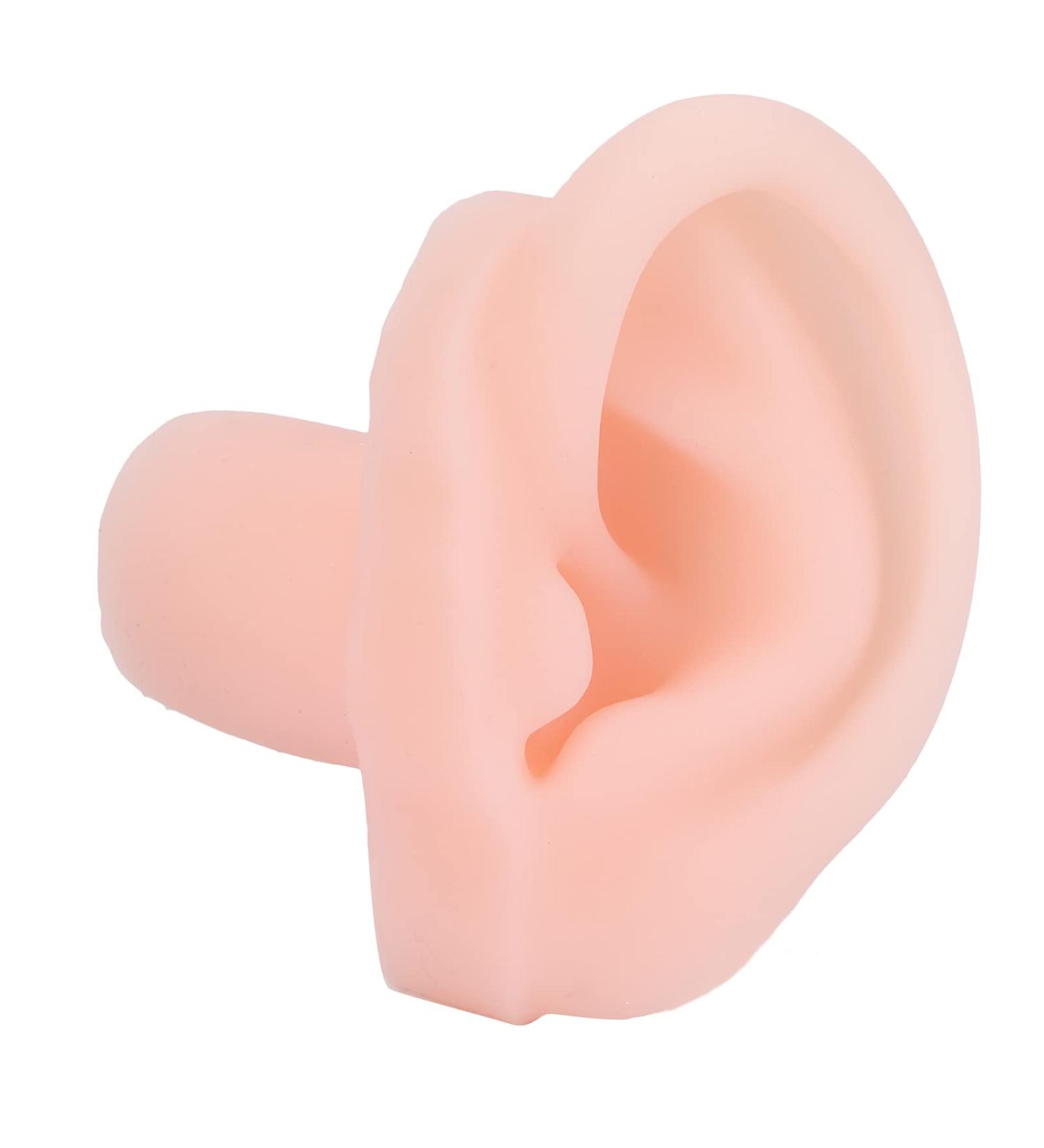 Realistic Left Human Ear Model - Silicone Ear for Students Doctors & Display | Ideal for Ear Exercises & Showcases - Buy Online on GoSupps.com