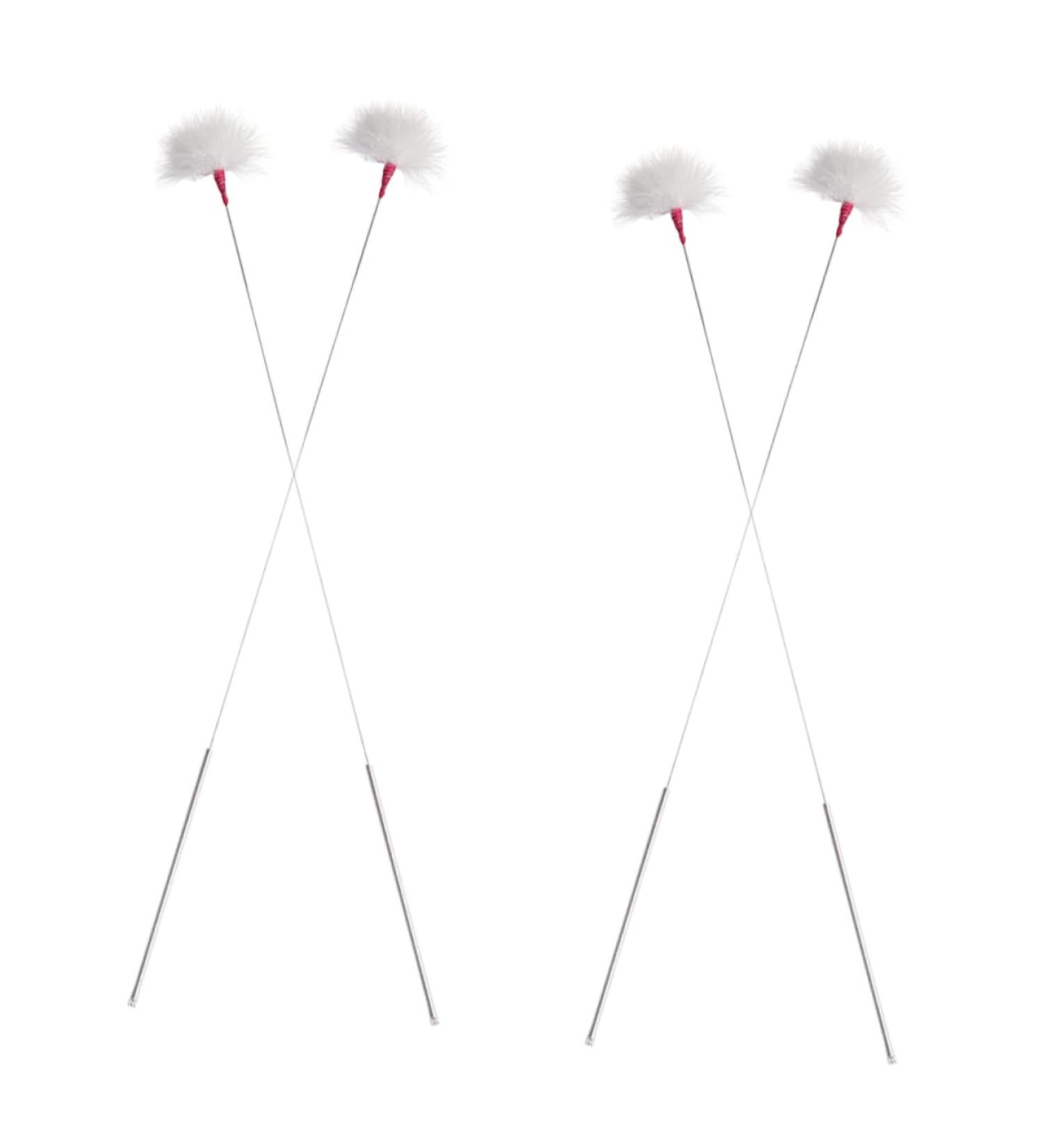 WATIIFUFU 4pcs Ear Cleaning Tools Professional Earwax Removal Supplies Goose and Handles for Gentle Ear Canal Massage and - Buy Online on GoSupps.com