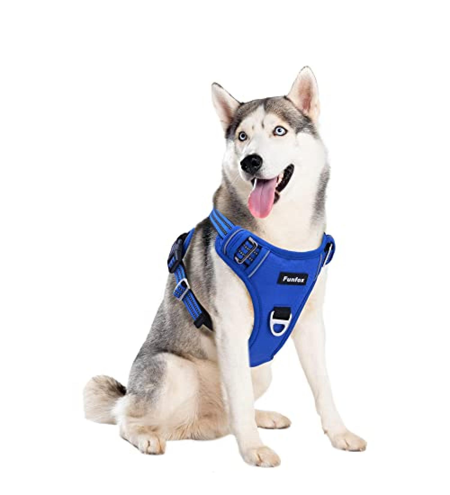 Funfox No Pull Dog Harness for Large Dogs - Adjustable Breathable Safe - Medium Dog Chest Harness & Tableware - Blue L - Buy Online on GoSupps.com