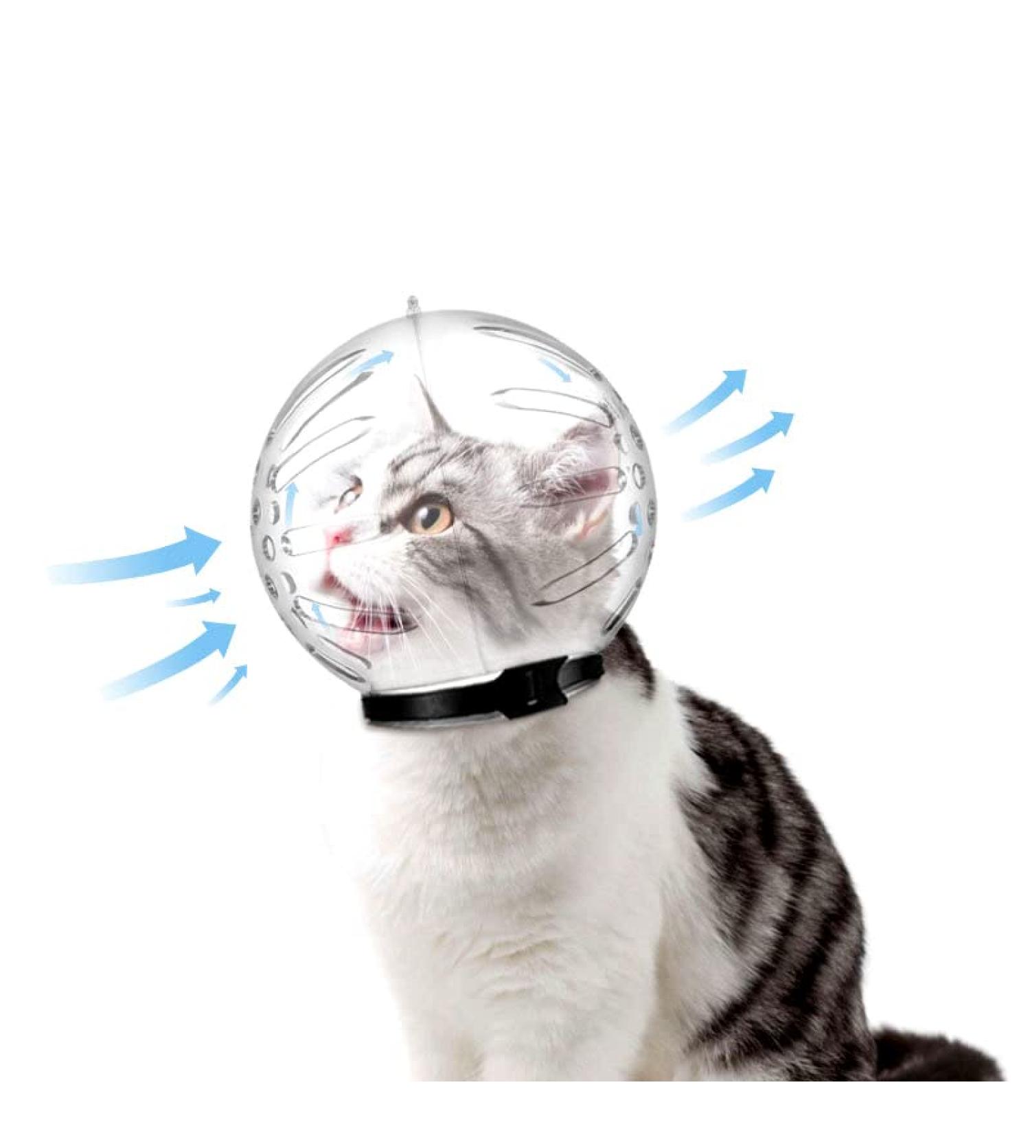Shop Breathable Transparent Maulk rbe for Cats - Anti-Bite & Anti-Lick Protection | Premium Pet Care Masks - Buy Online on GoSupps.com