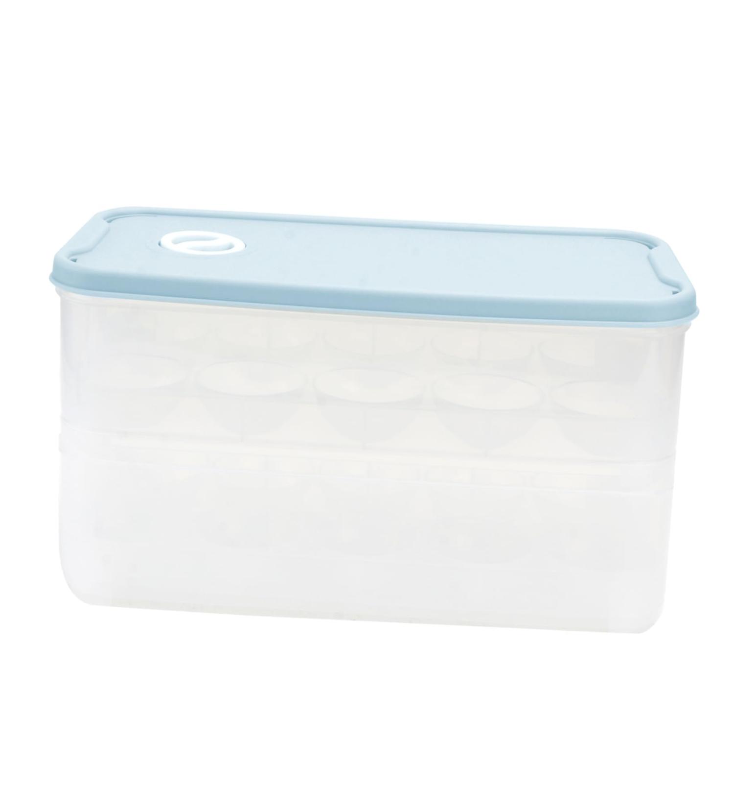 BUGUUYO 1pc Box Egg Storage Box Refrigerator Lip Gloss Container Egg Storage Tray Pet Eggs Grid re-usable Blue 24x14cm - Buy Online on GoSupps.com