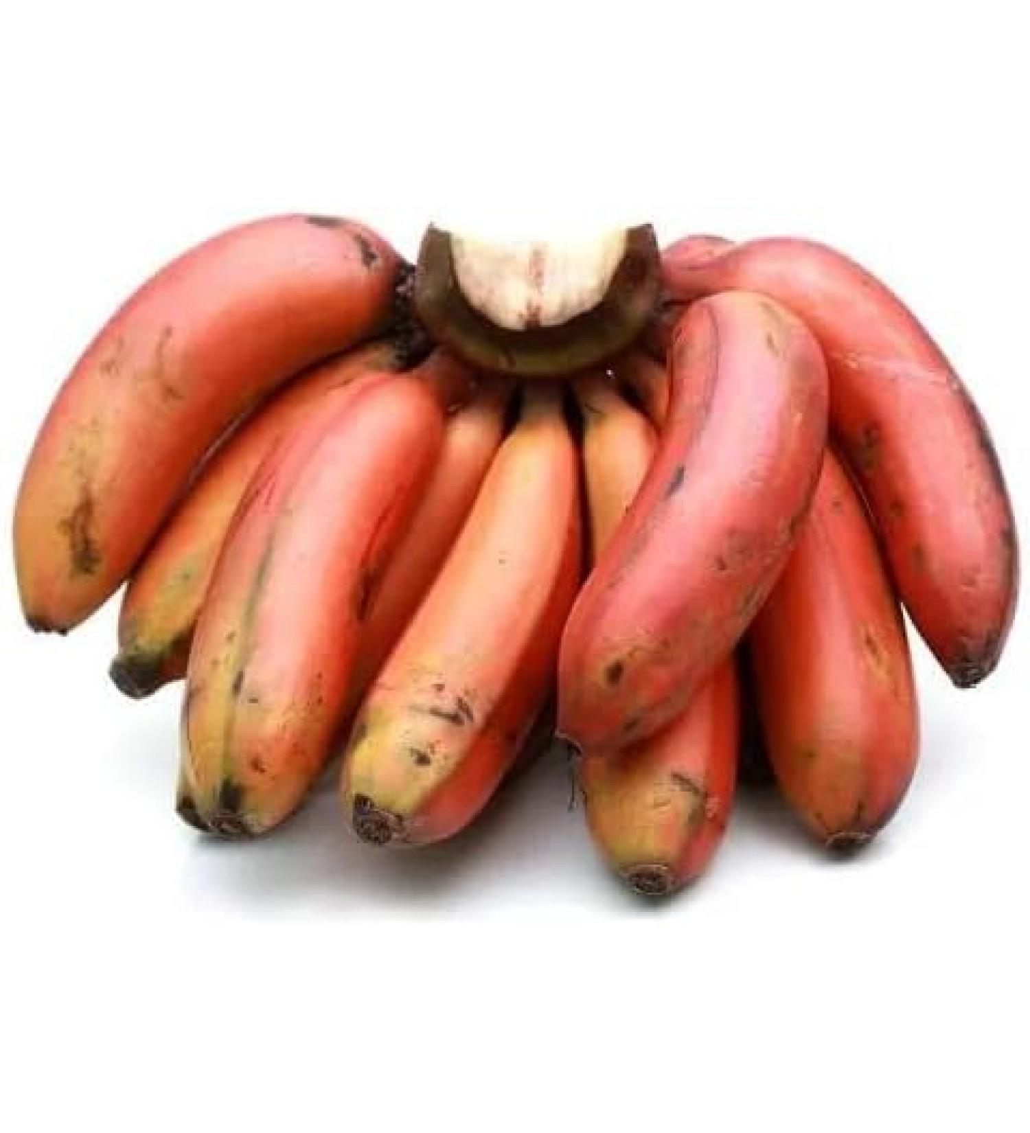 Fresh Red Banana | 1KG | 100% Fresh Fruit | Sri lankan Origin| Next Day Shipping By Seelans - Buy Online on GoSupps.com