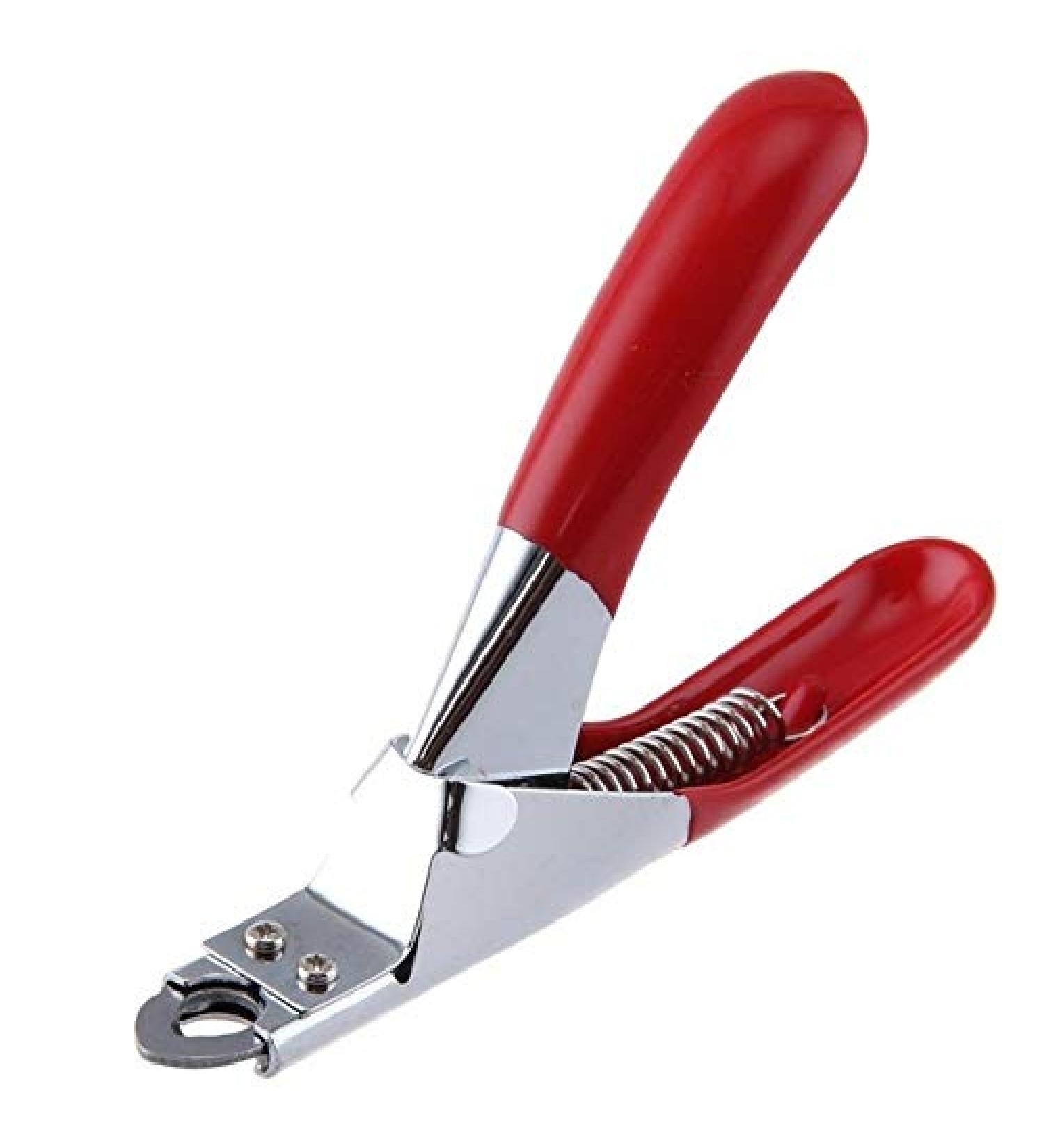 Tide brand tribe Pet nail clippers pet nail clippers dog cutter cat bird guinea pig animal claw trimmer scissors tool (Color : Red) - Buy Online on GoSupps.com