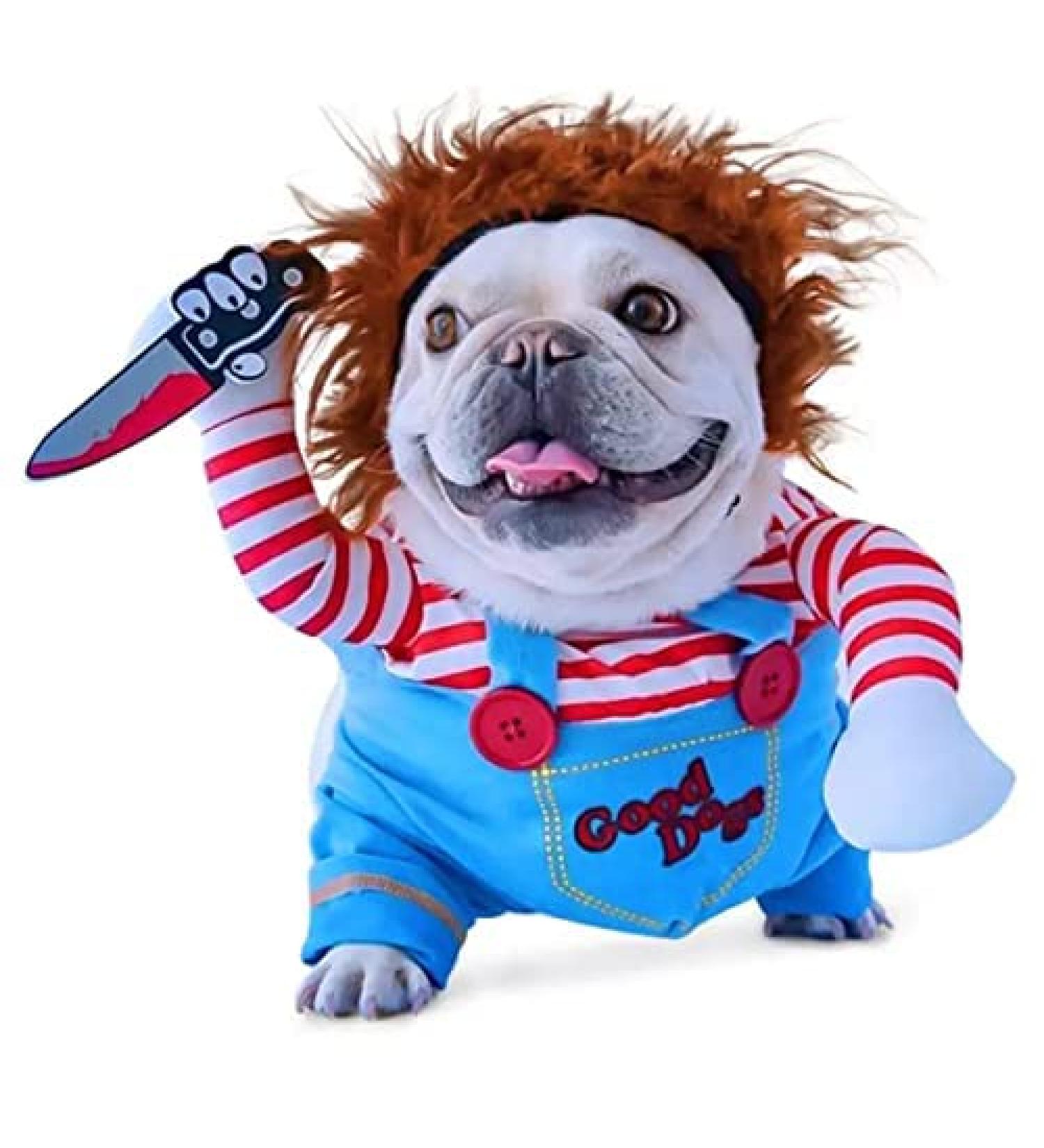 Chucky Dog Costume with Wig & Knife - Funny Halloween Cosplay for Dogs (Large) - Buy Online on GoSupps.com